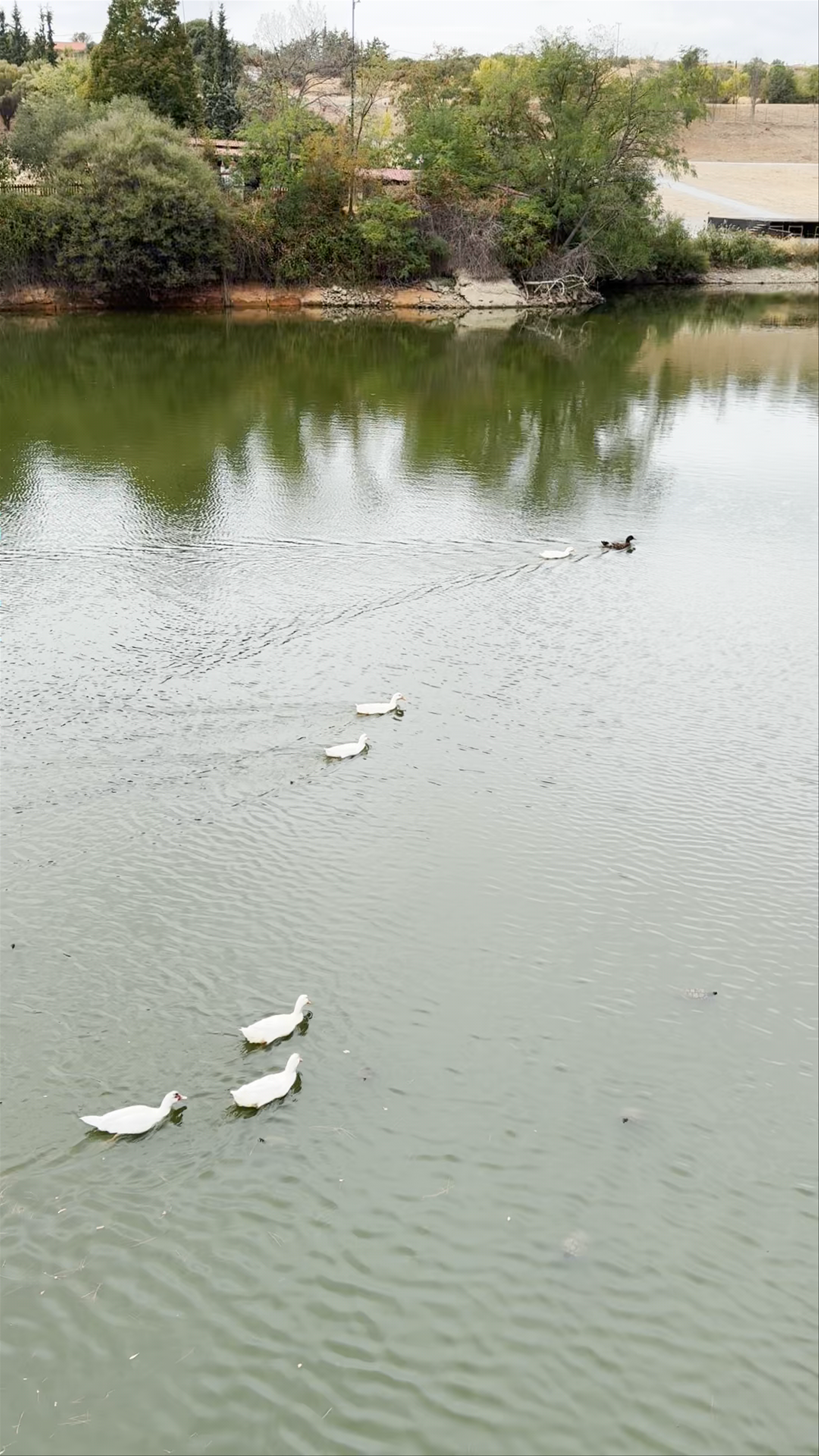 Thermi Dam