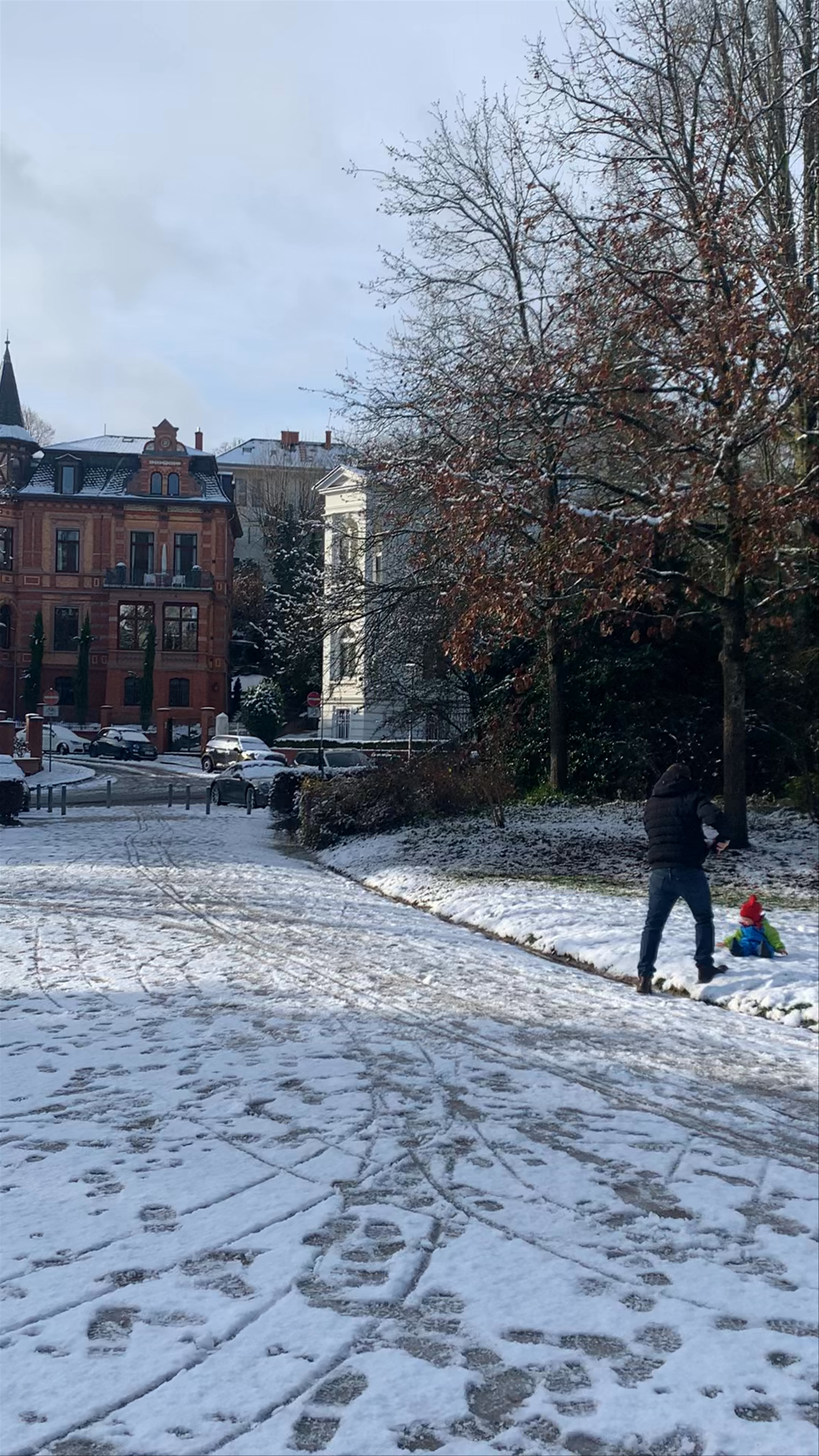 Winter Magic at Nerotal Park in Wiesbaden