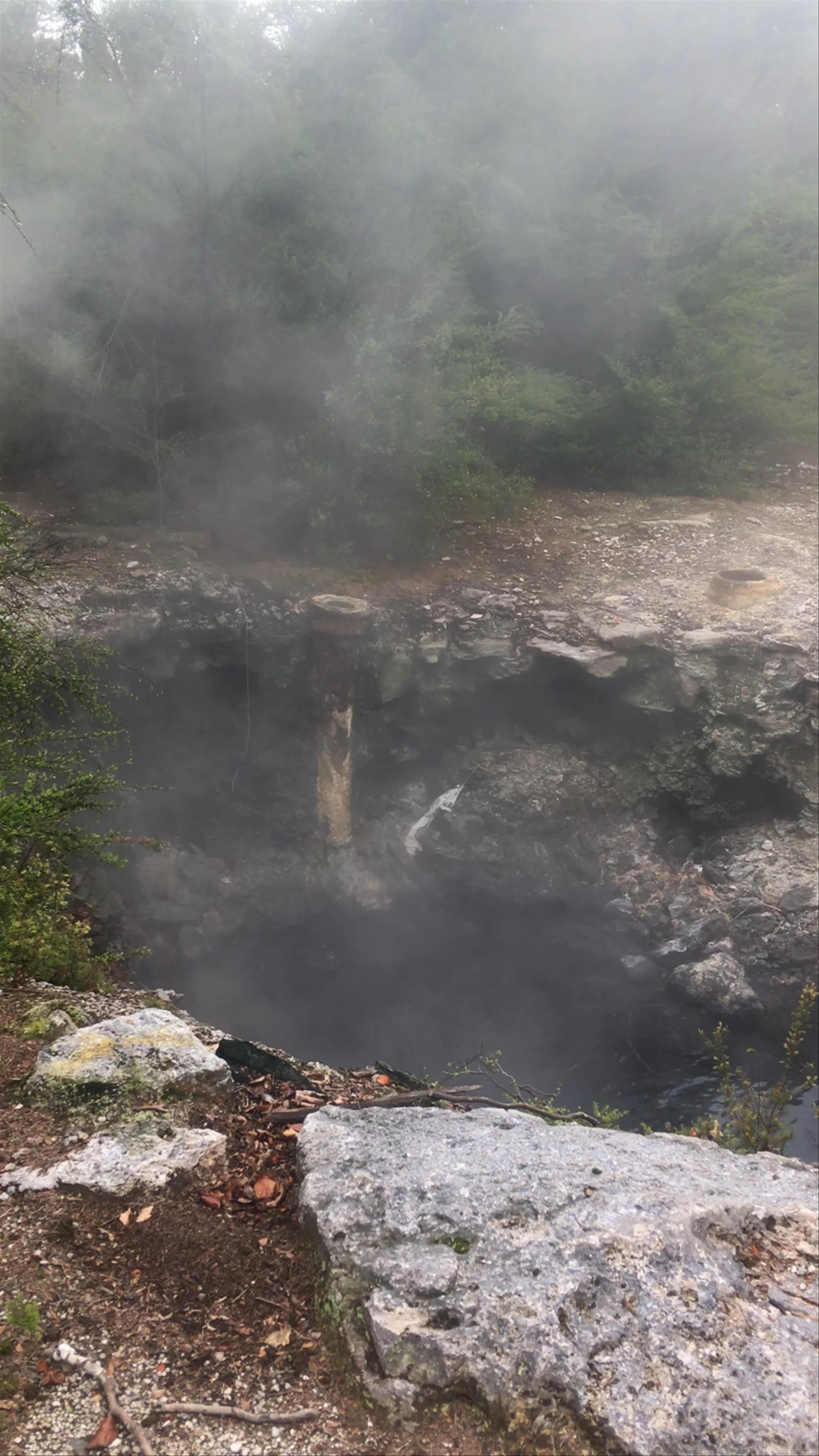 Misty Geothermal Springs at Hinemaru Street, Rotorua