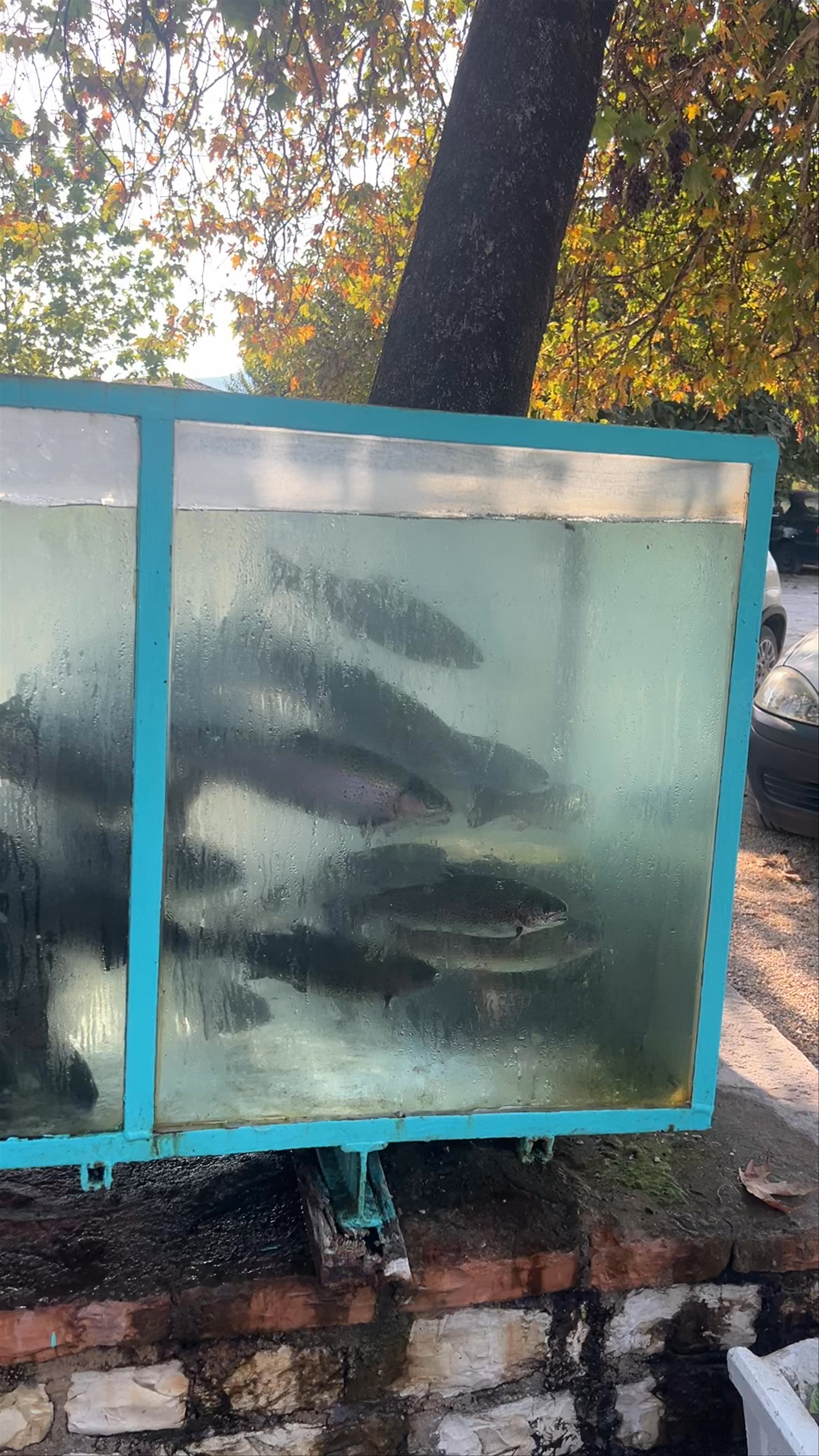 ΤΑΒΕΡΝΑ ΠΑΝΟΡΑΜΑ ΓΛΥΚΗ - TAVERN PANORAMA GLYKI