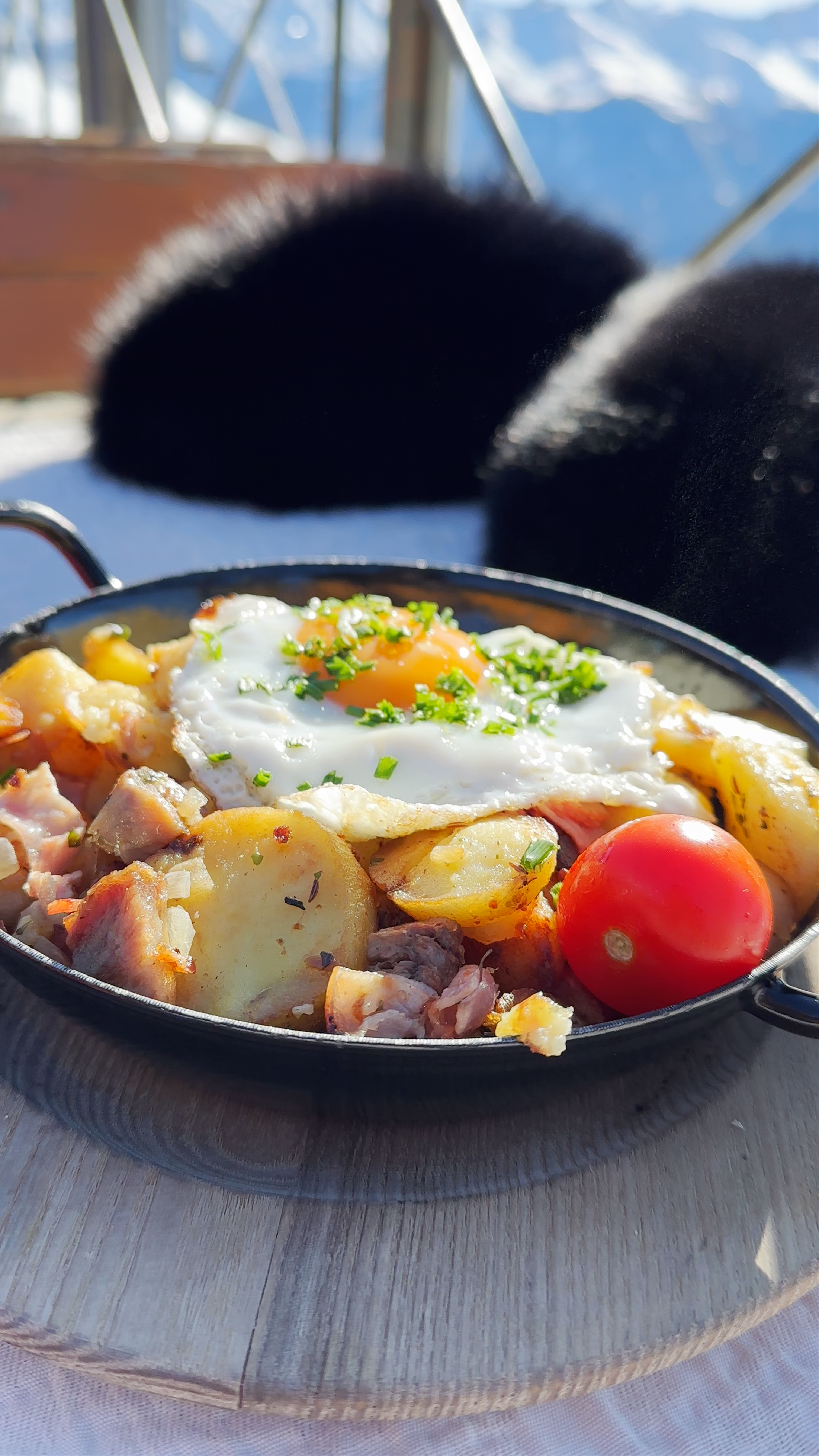 Panorama Alm Kitzbühel