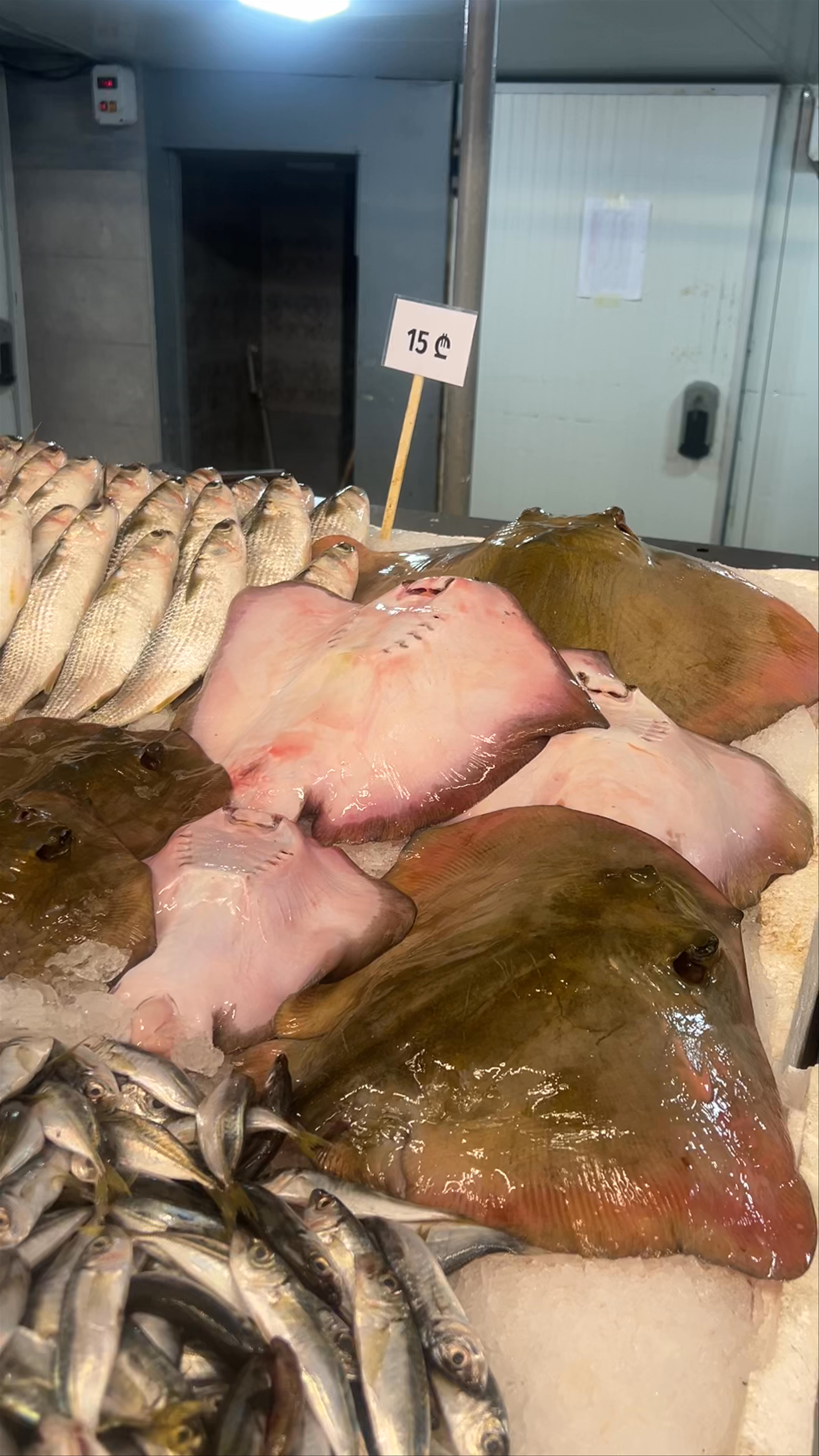 Authentic Fish Market Experience in Batumi, Georgia