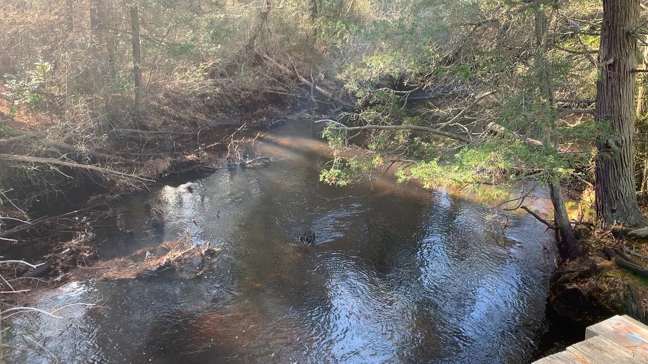 Batona Trail - Hiking Near Me