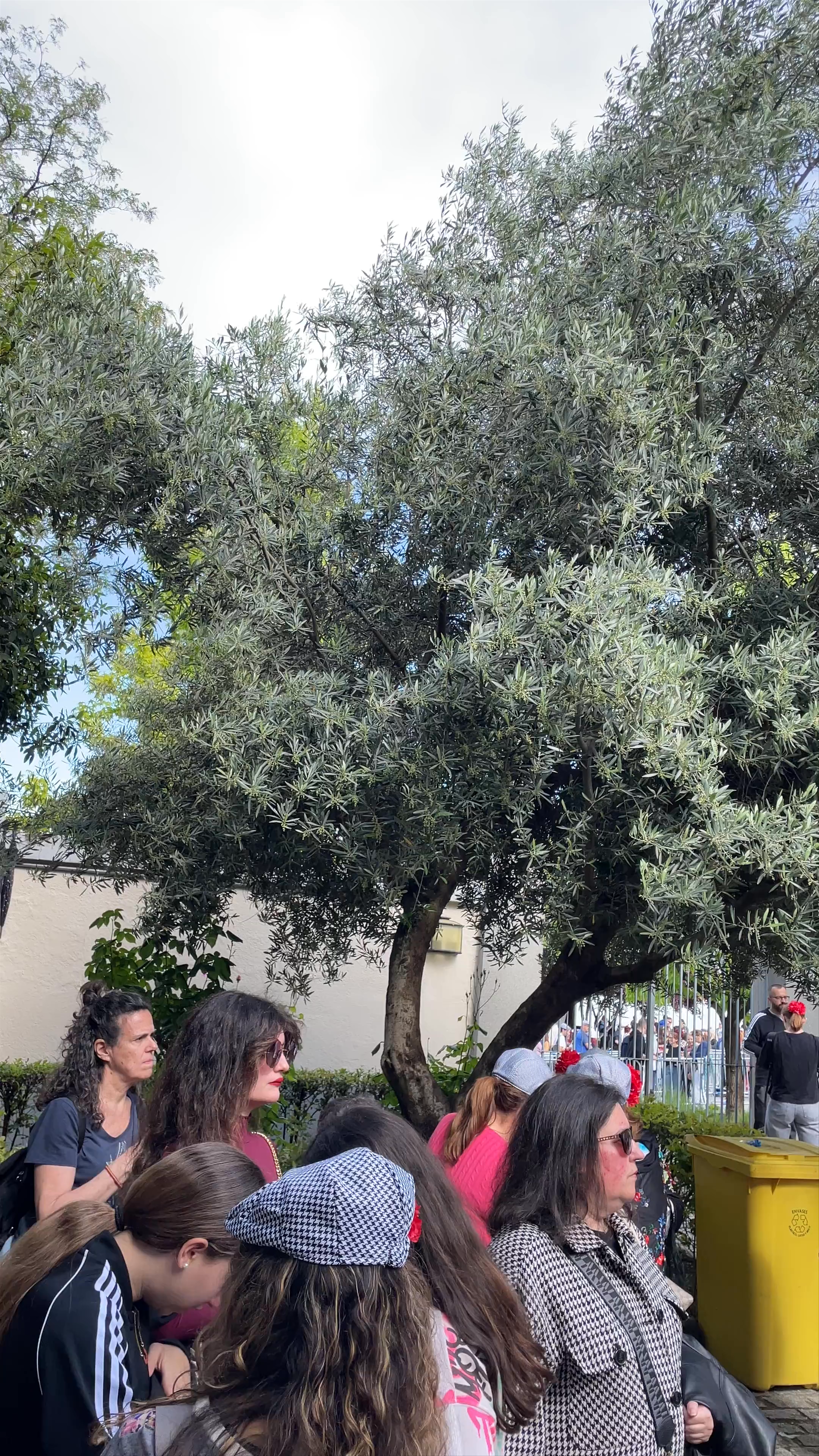 Festive Gathering at Saint Isidore Park, Madrid