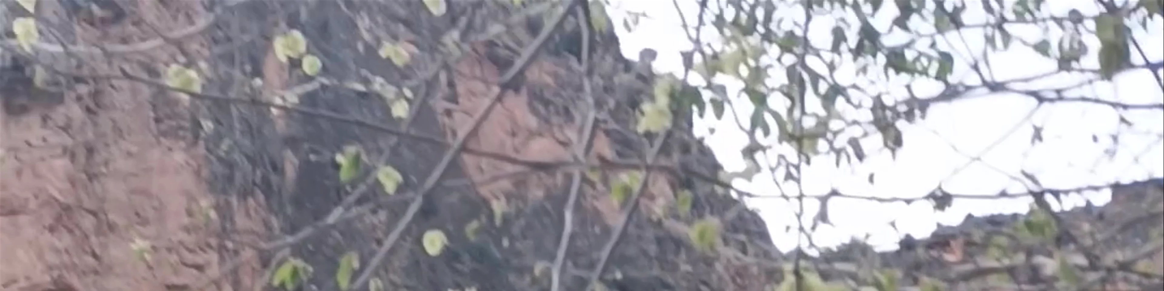 Rincón de la Toba