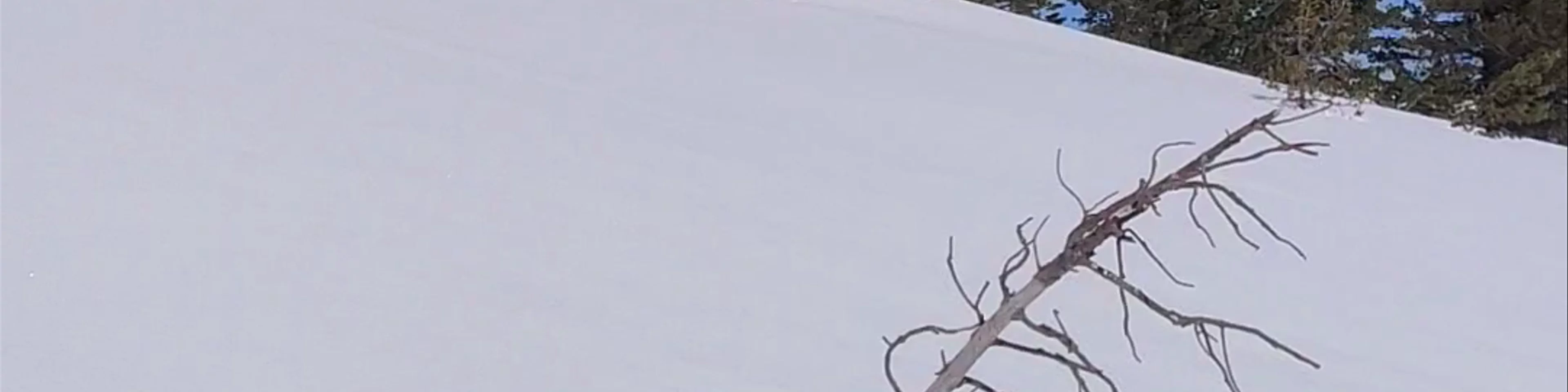 Snowshoeing in Pirin National Park, Bulgaria