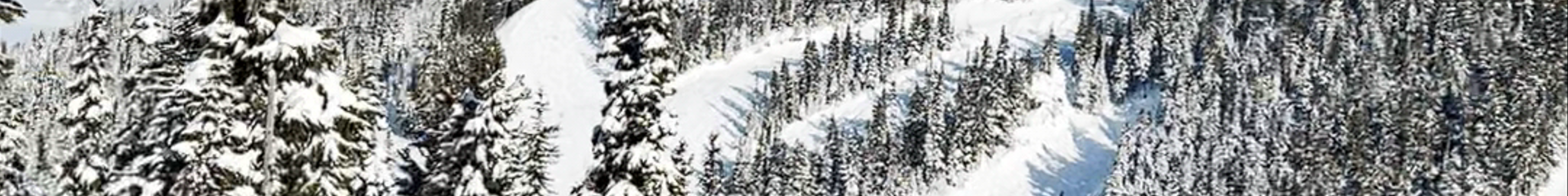 Tours & experiences in Whistler