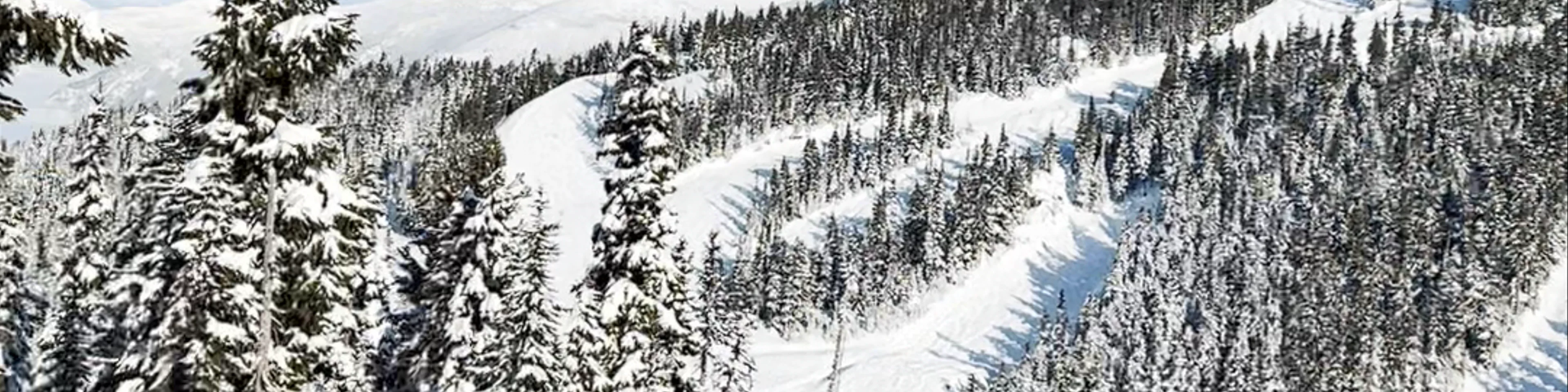 Blackcomb Peak