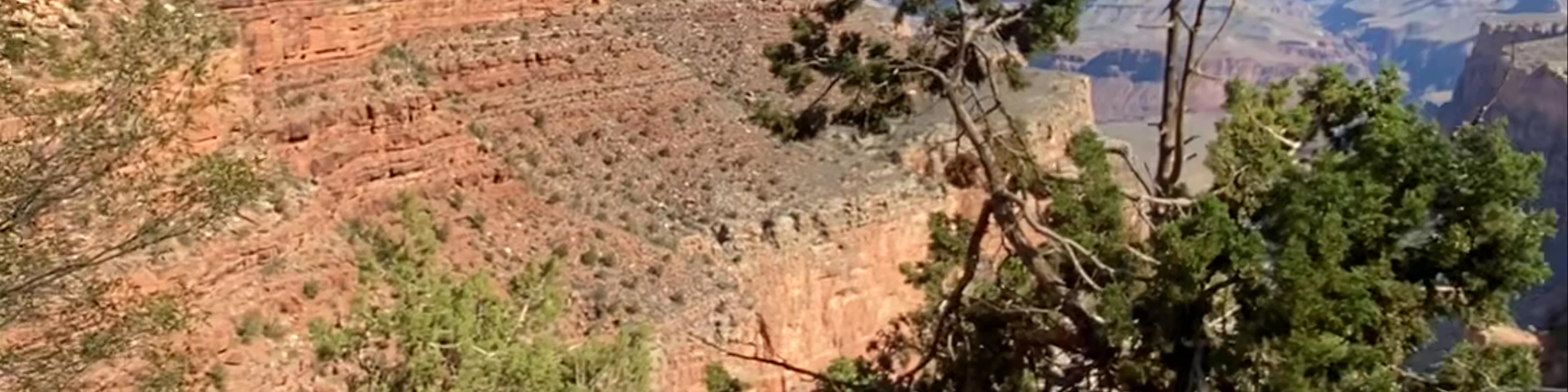South Rim Trail