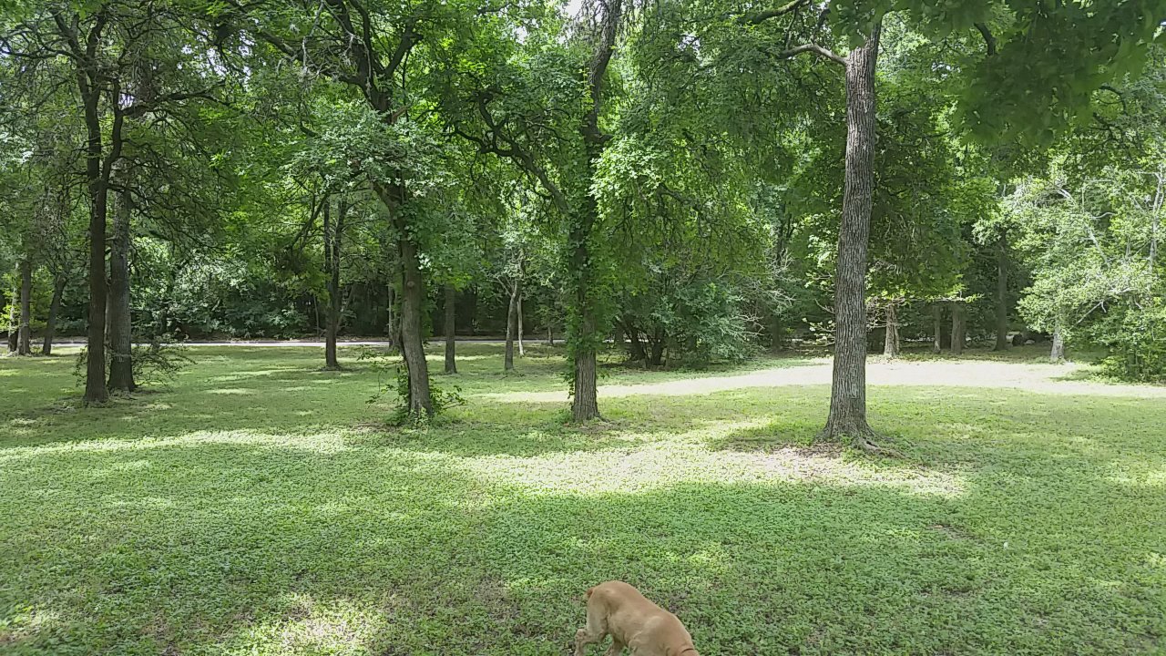Garrison District Park - Just a glimpse of Garrison Park. This park is big and spacious. - Parks Near Me - Austin, Texas