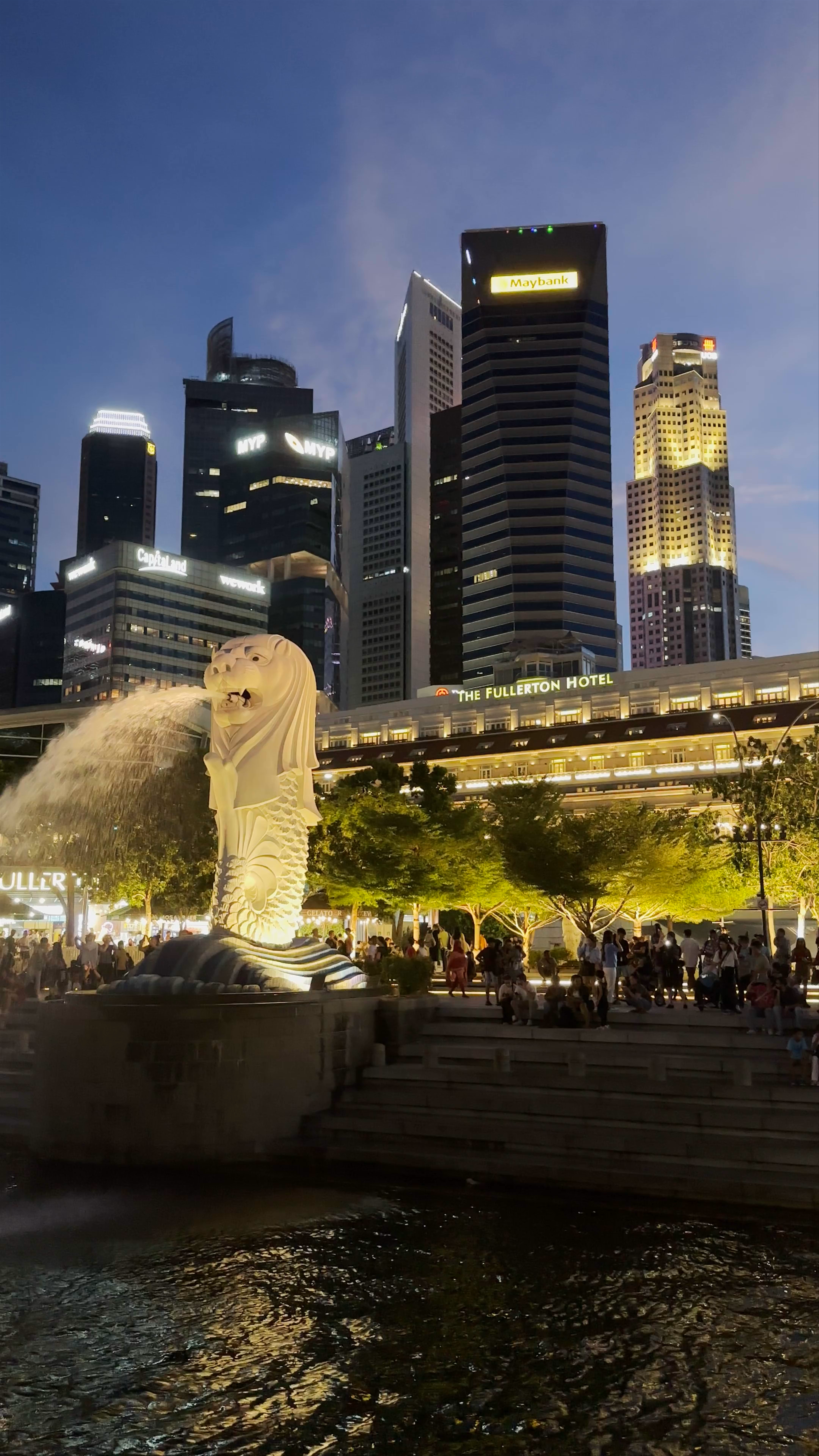 Magical Night at Merlion Park, Singapore