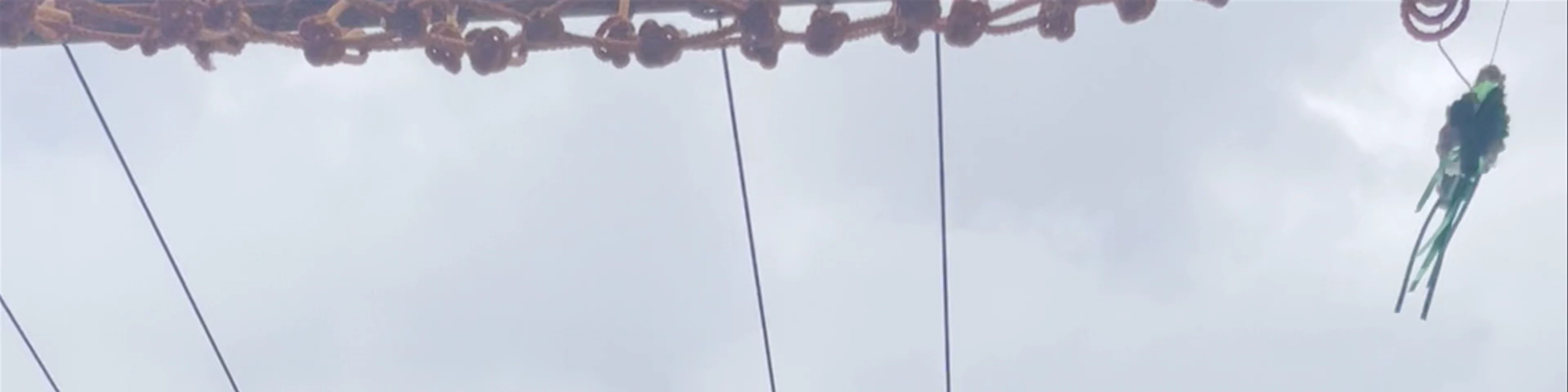 Zip Stream Aerial Adventures