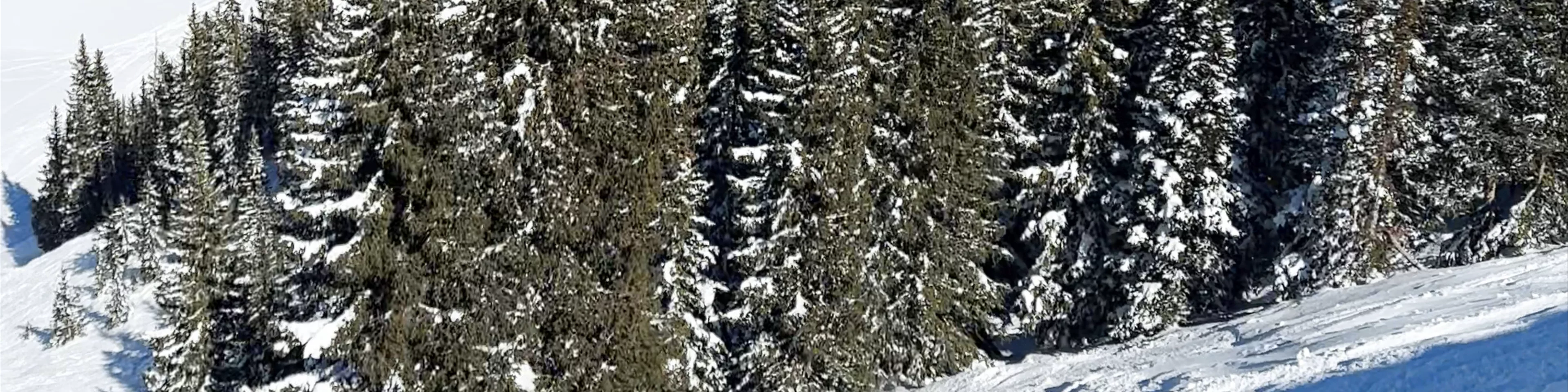 Jupiter Peak