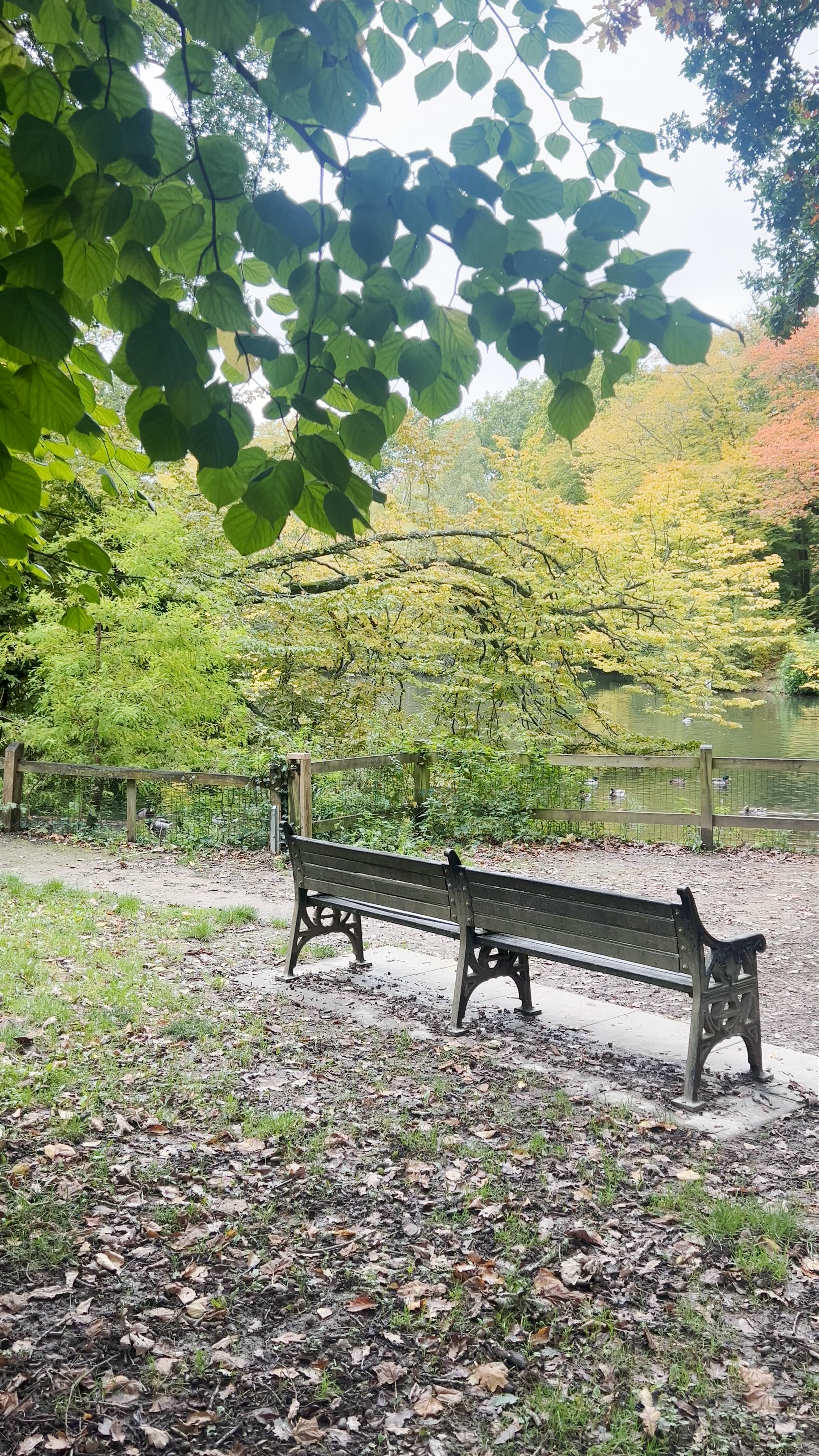 Autumn Serenity in Goffs Park, Crawley