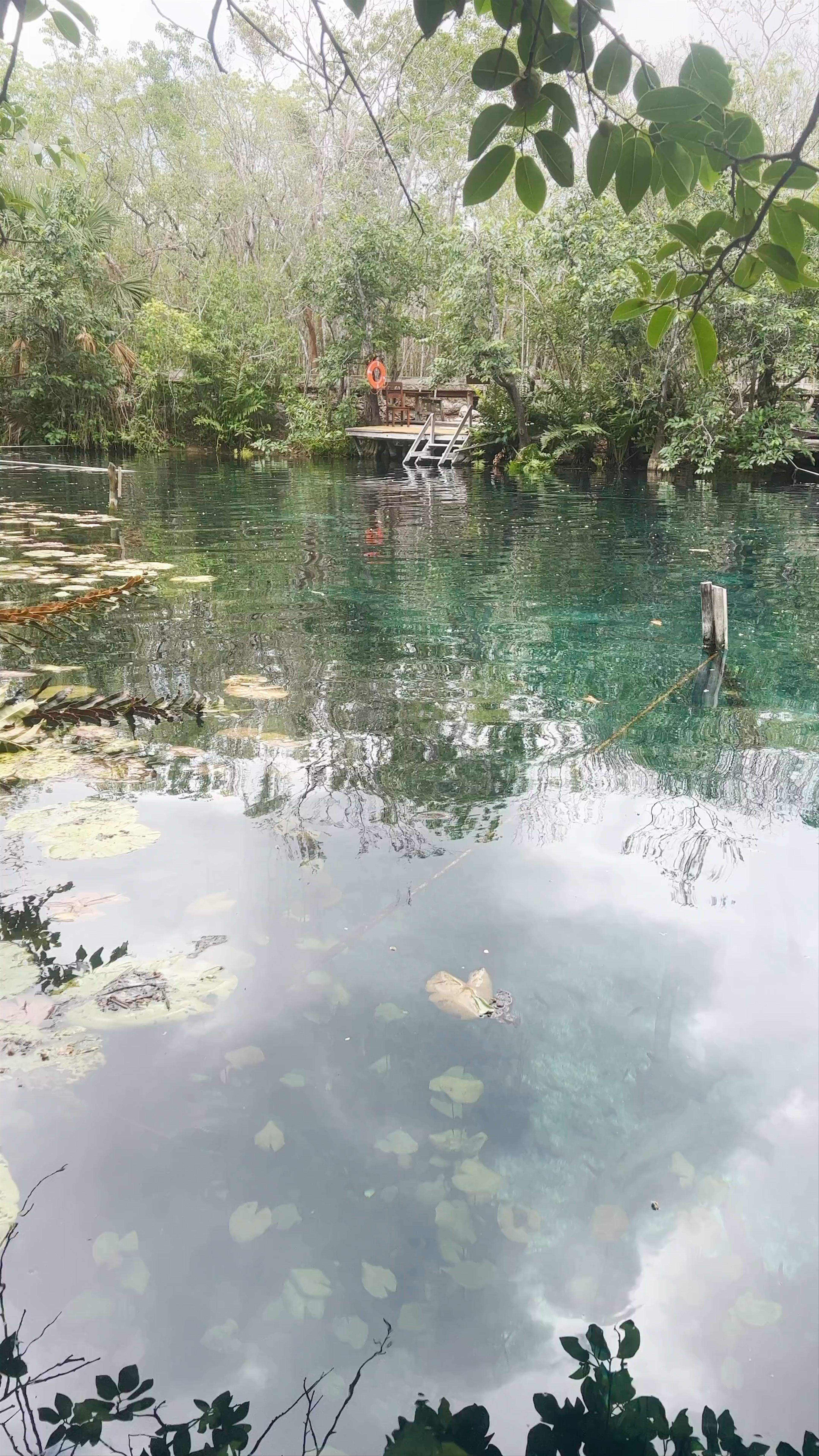 Cenote Car Wash