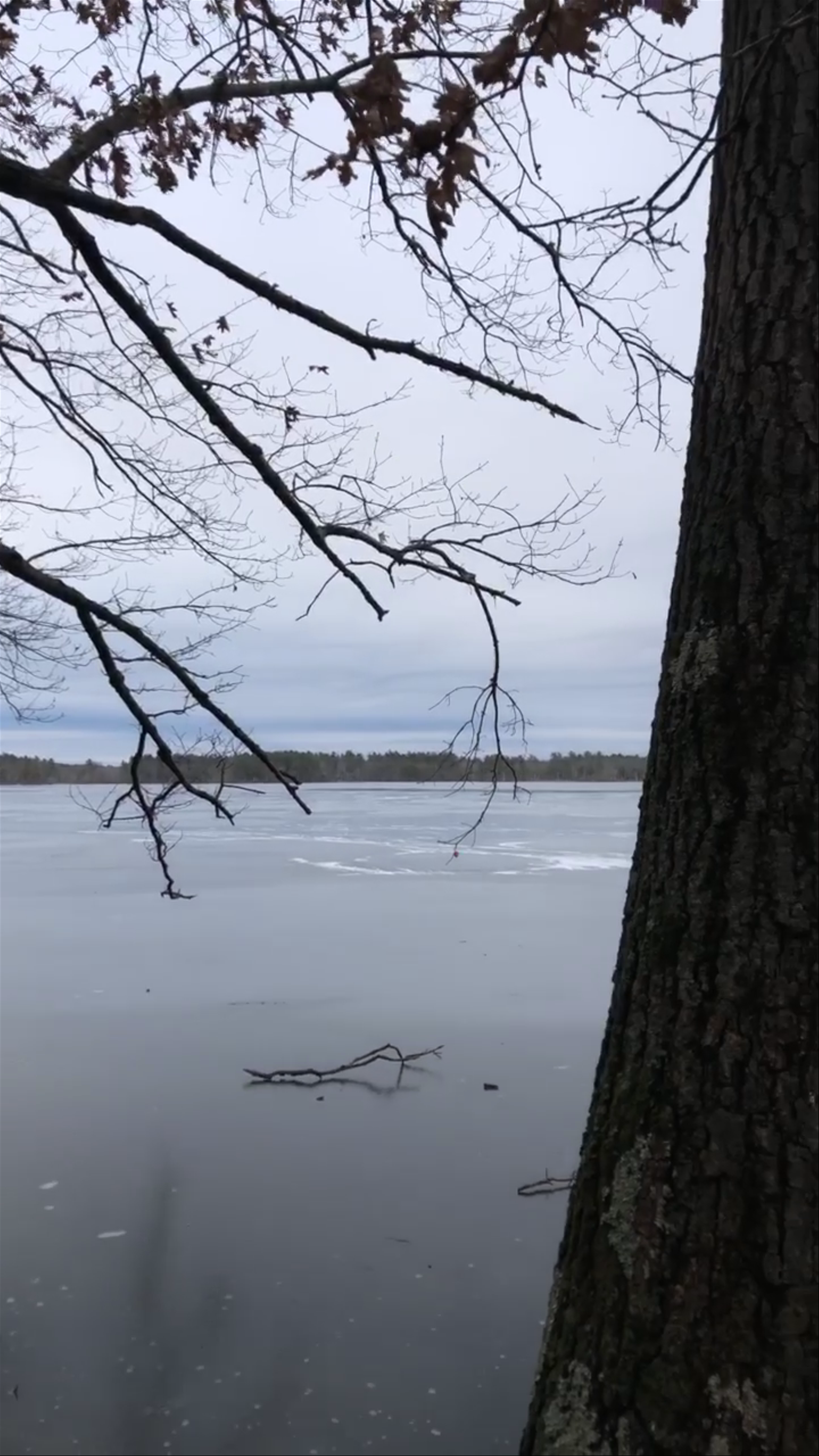 Haggett's Pond & Rail Trail
