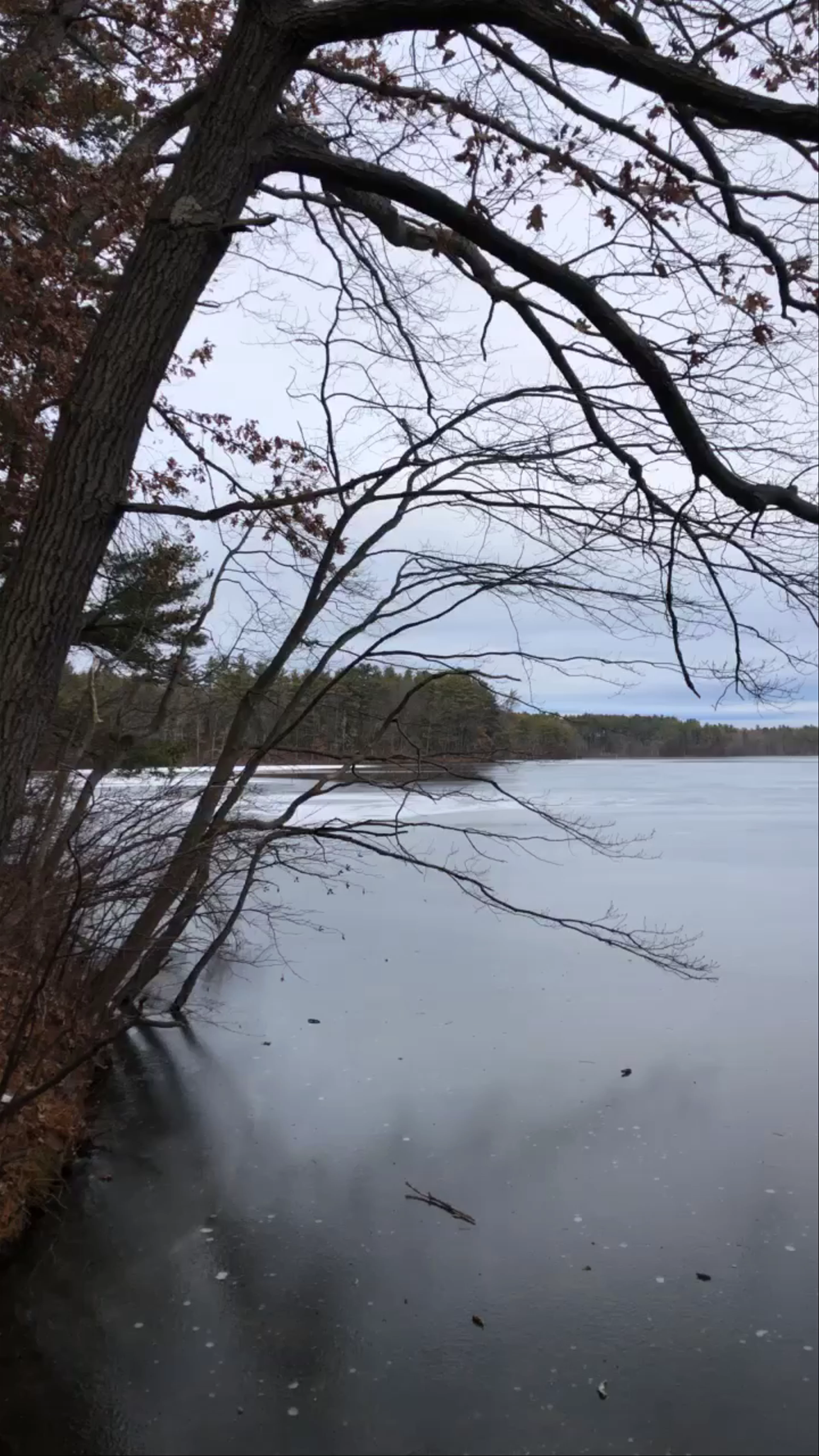 Haggett's Pond & Rail Trail
