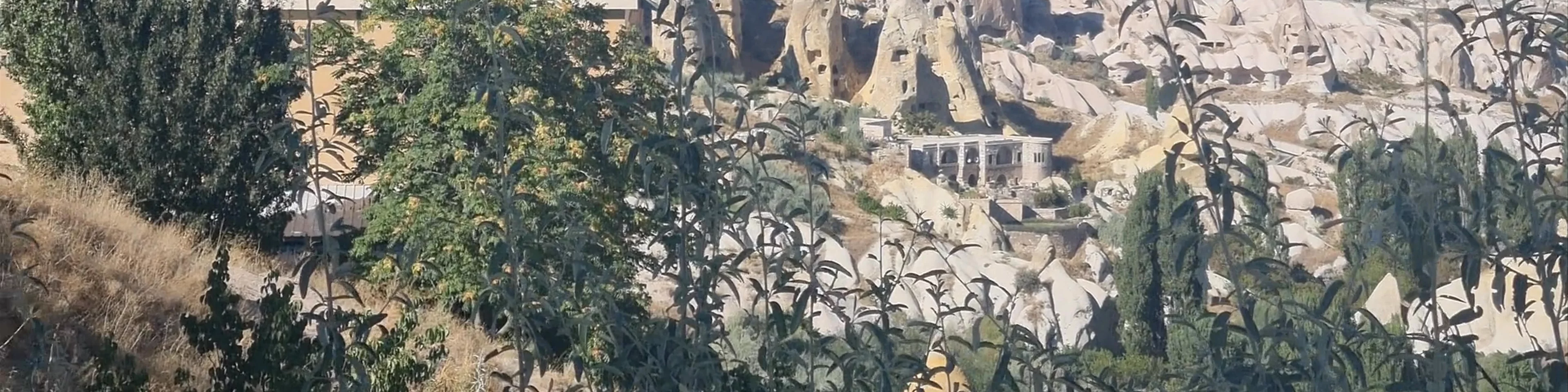 Aşağı