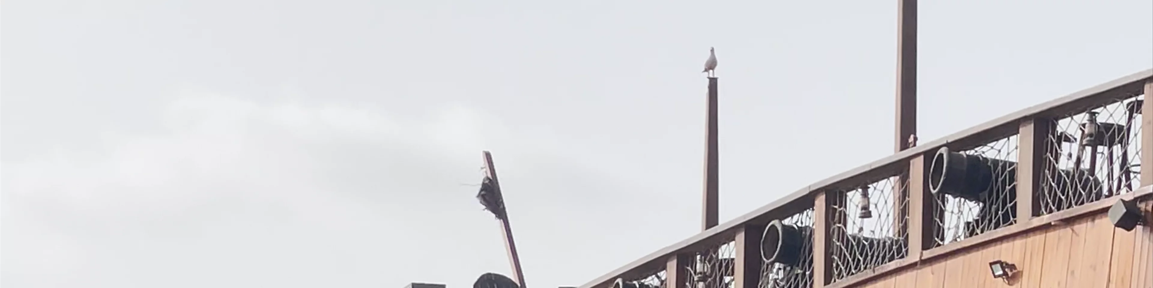 O Ninho Dos Piratas