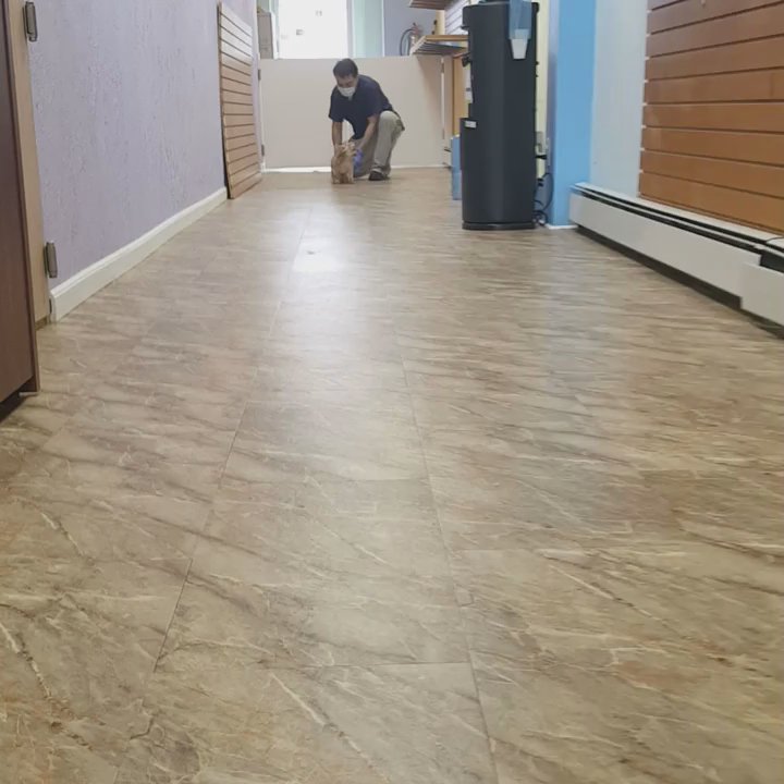 Groomingbells - It was all worth it - Pet Groomers Near Me - Oceanside, New York