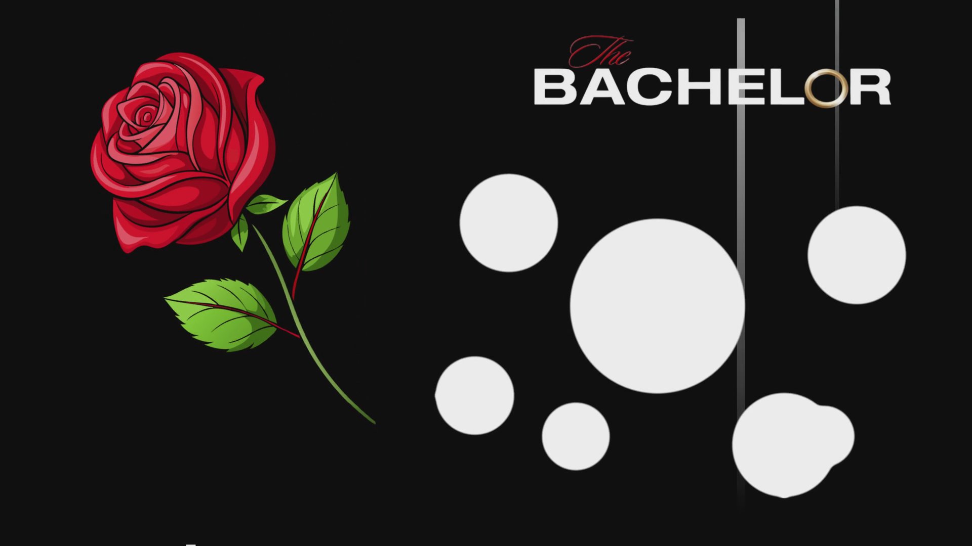 A graphic presentation details television viewer demographics for The Bachelor, transitioning from specific statistical charts to an abstract cluster visualization.