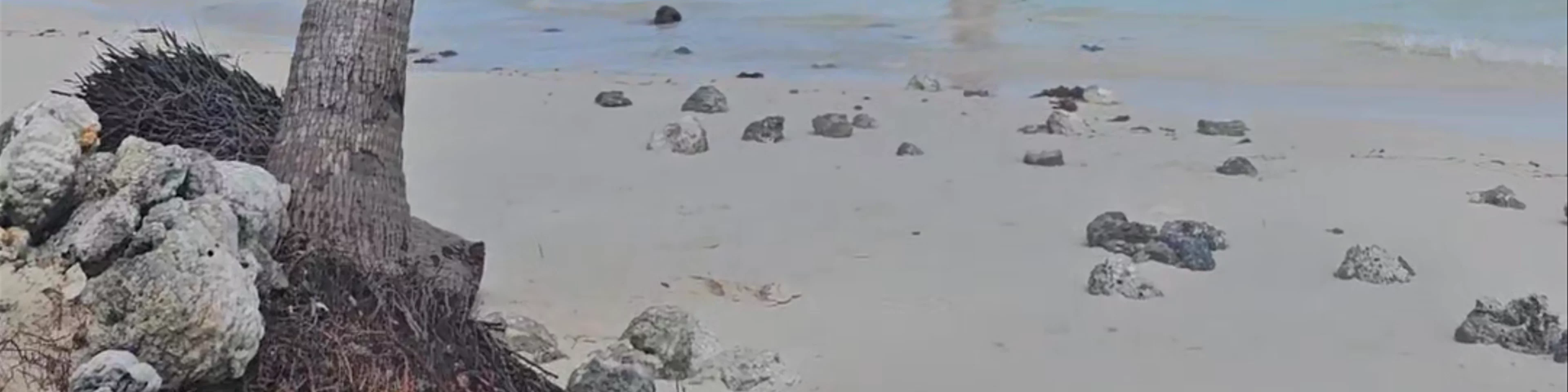 ONOK ISLAND
