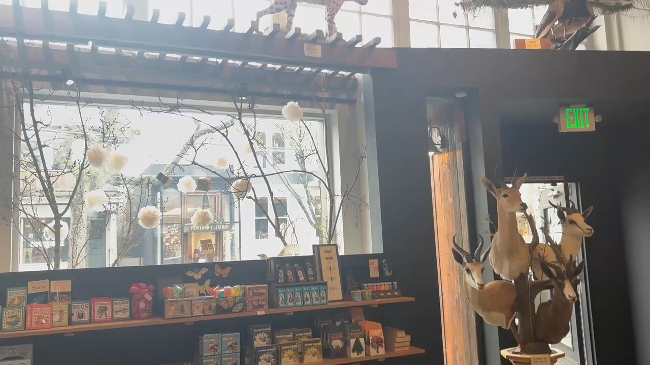 Paxton Gate - Short video tour of some of the front room - Jewelry Near Me - Portland, Oregon