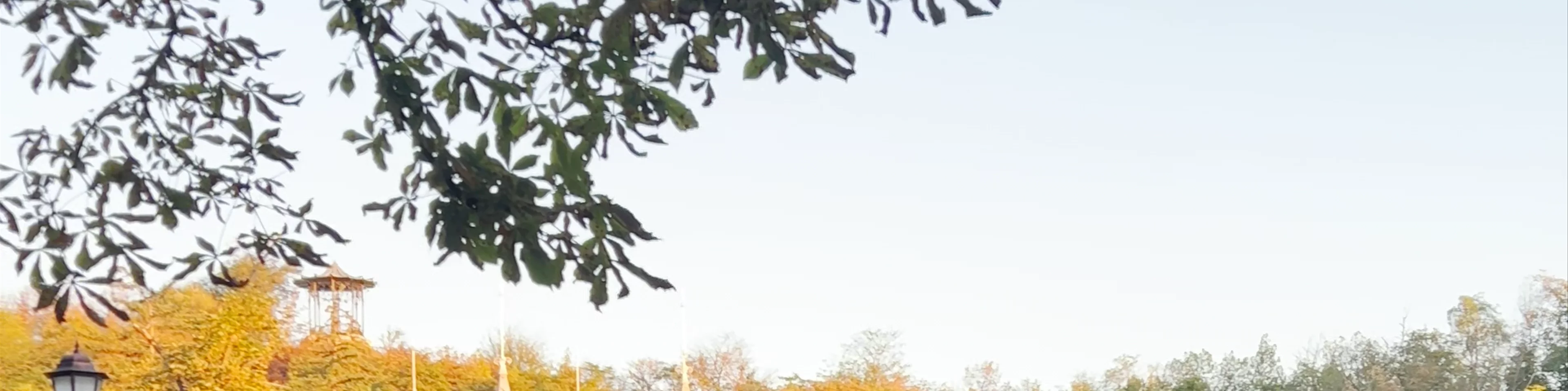 Park Tsvetnik