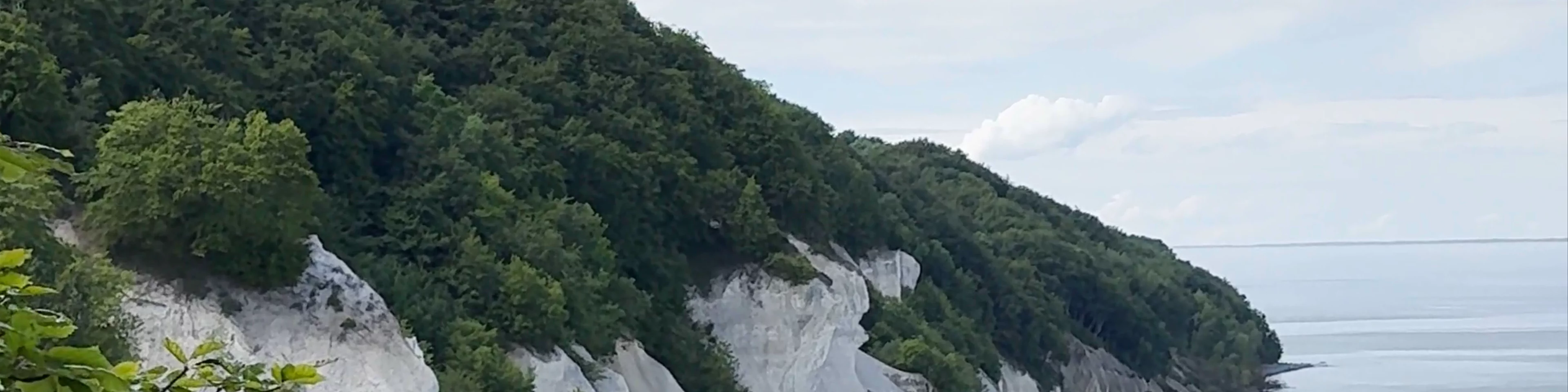 Møns Klint