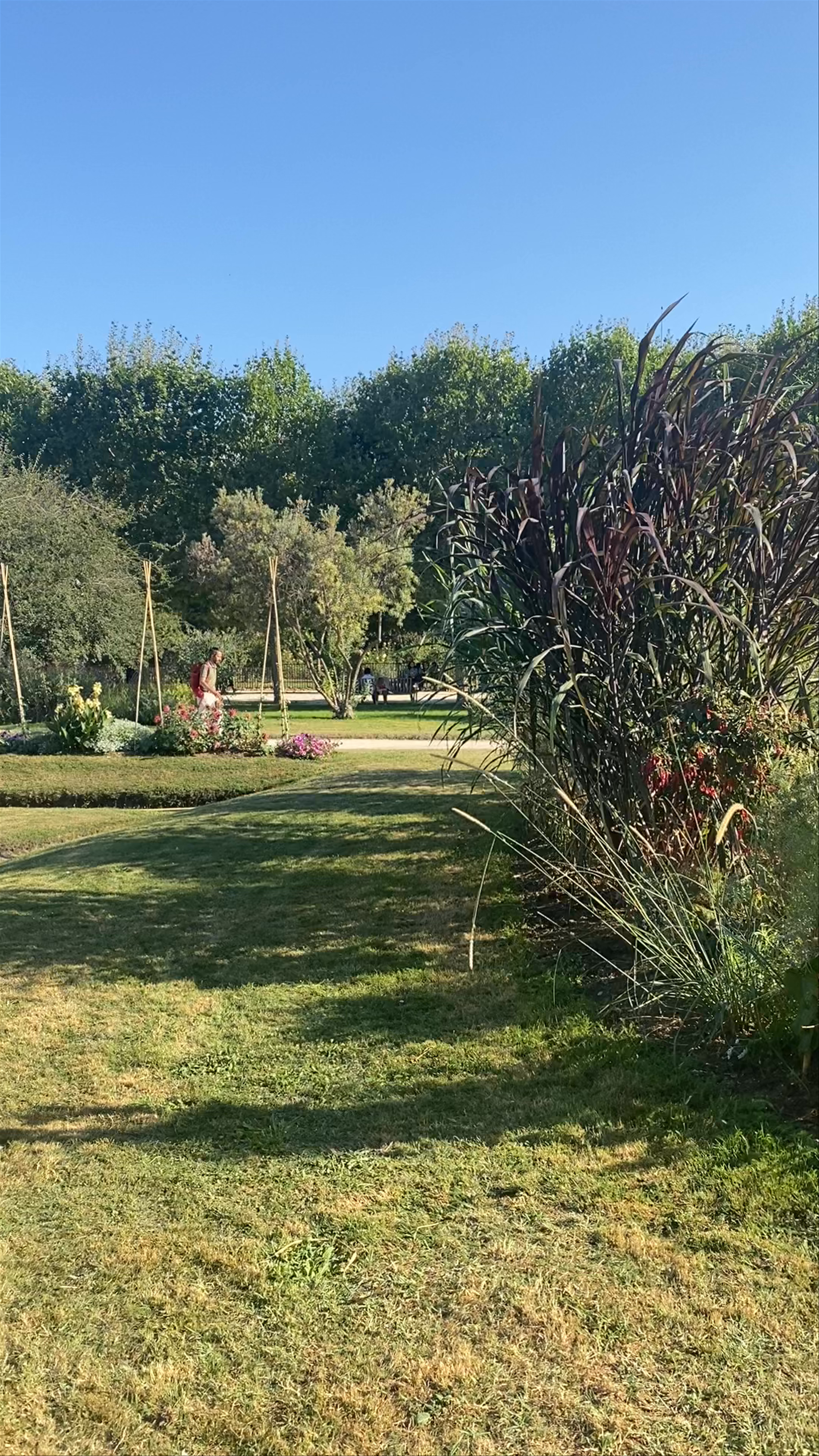 Sunlit Serenity at Jardin des Plantes, Paris
