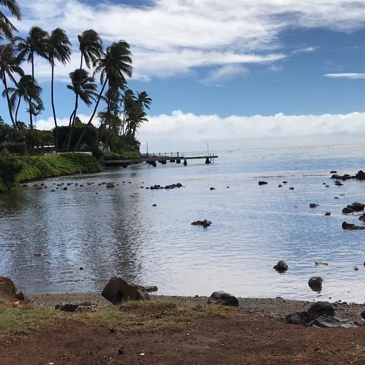 Wailupe Beach Park - Parks Near Me - Honolulu, Hawaii