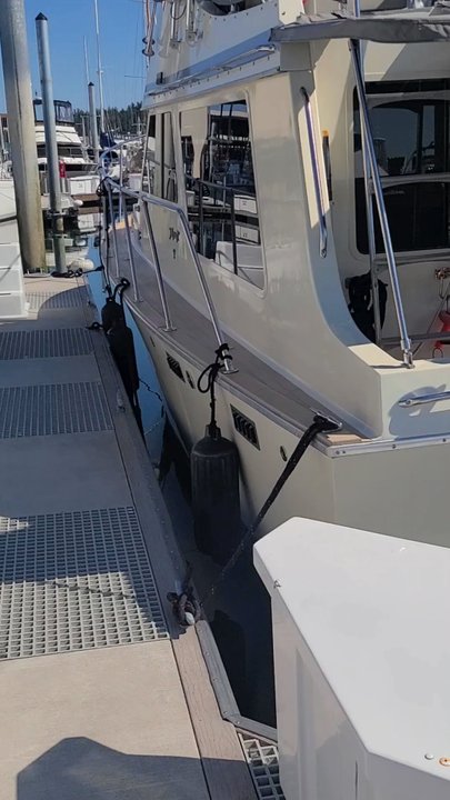Pristine Marine - Auto Detailing Near Me