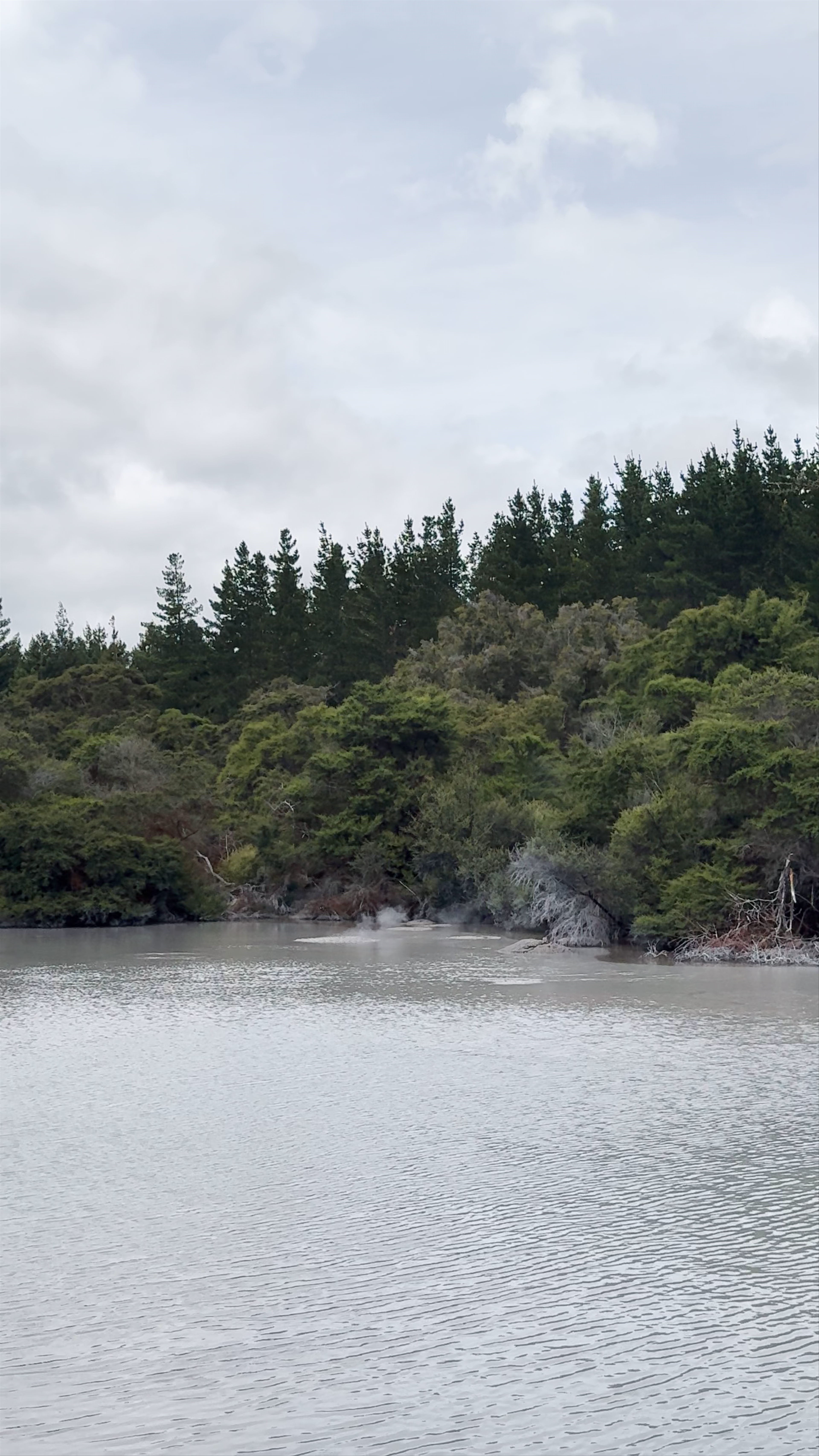 Waiotapu Thermal Wonderland Waiotapu Loop Road