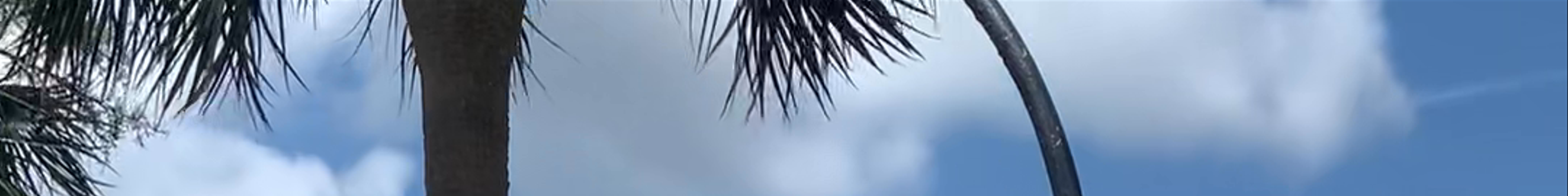 Tours & experiences in South Carolina