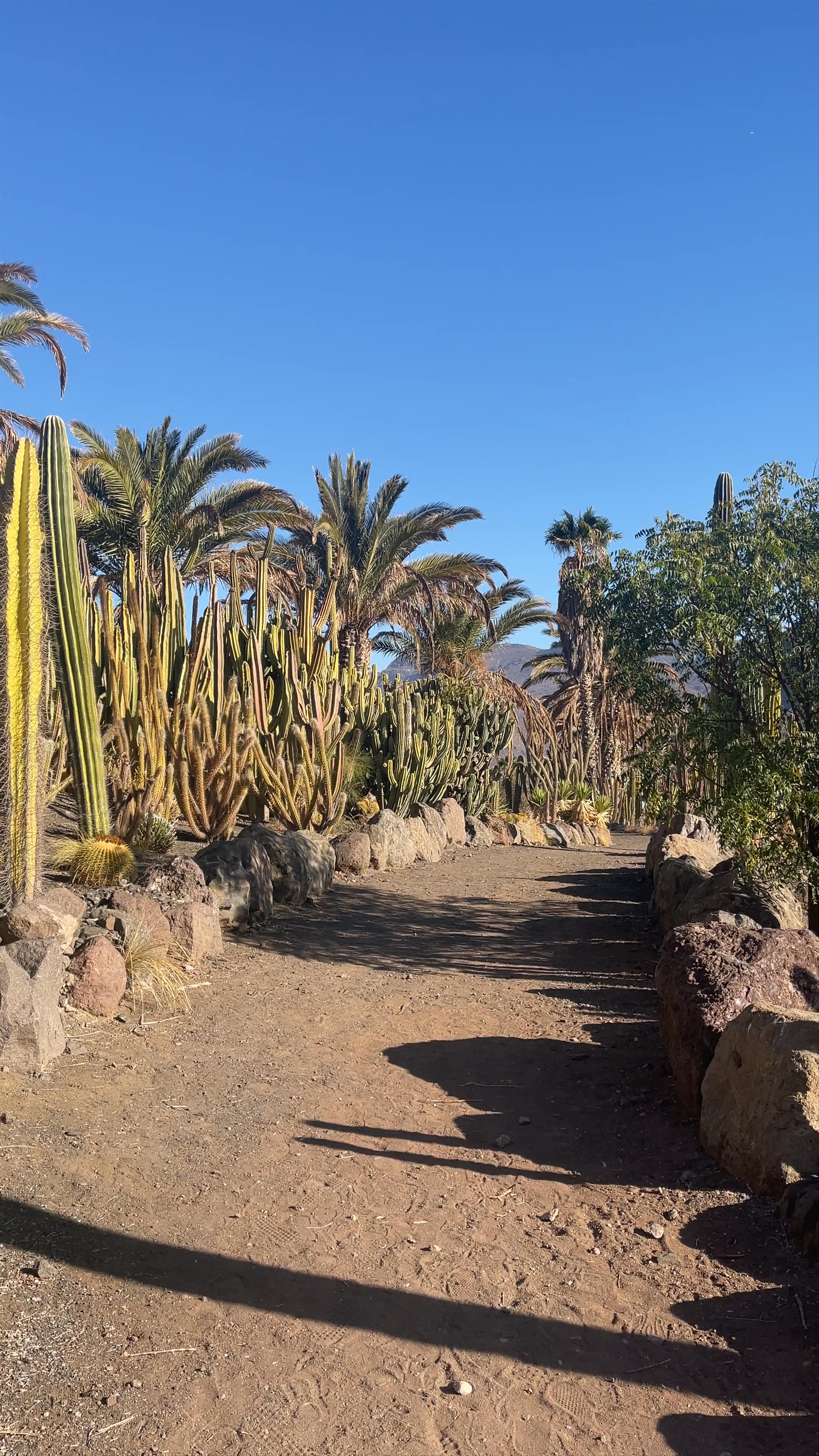 Cactualdea Park