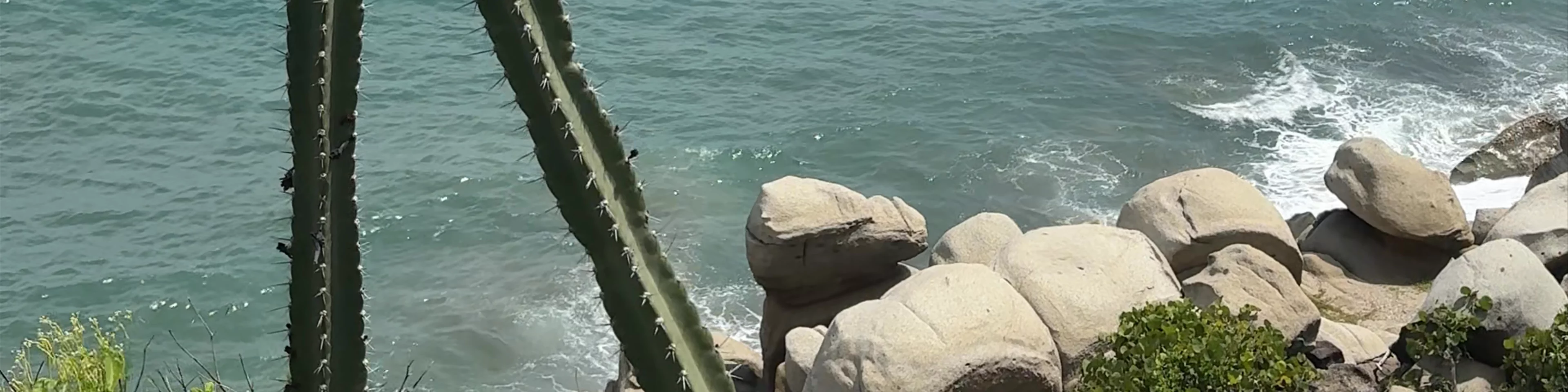 Taquilla El Zaino - Parque Nacional Natural Tayrona