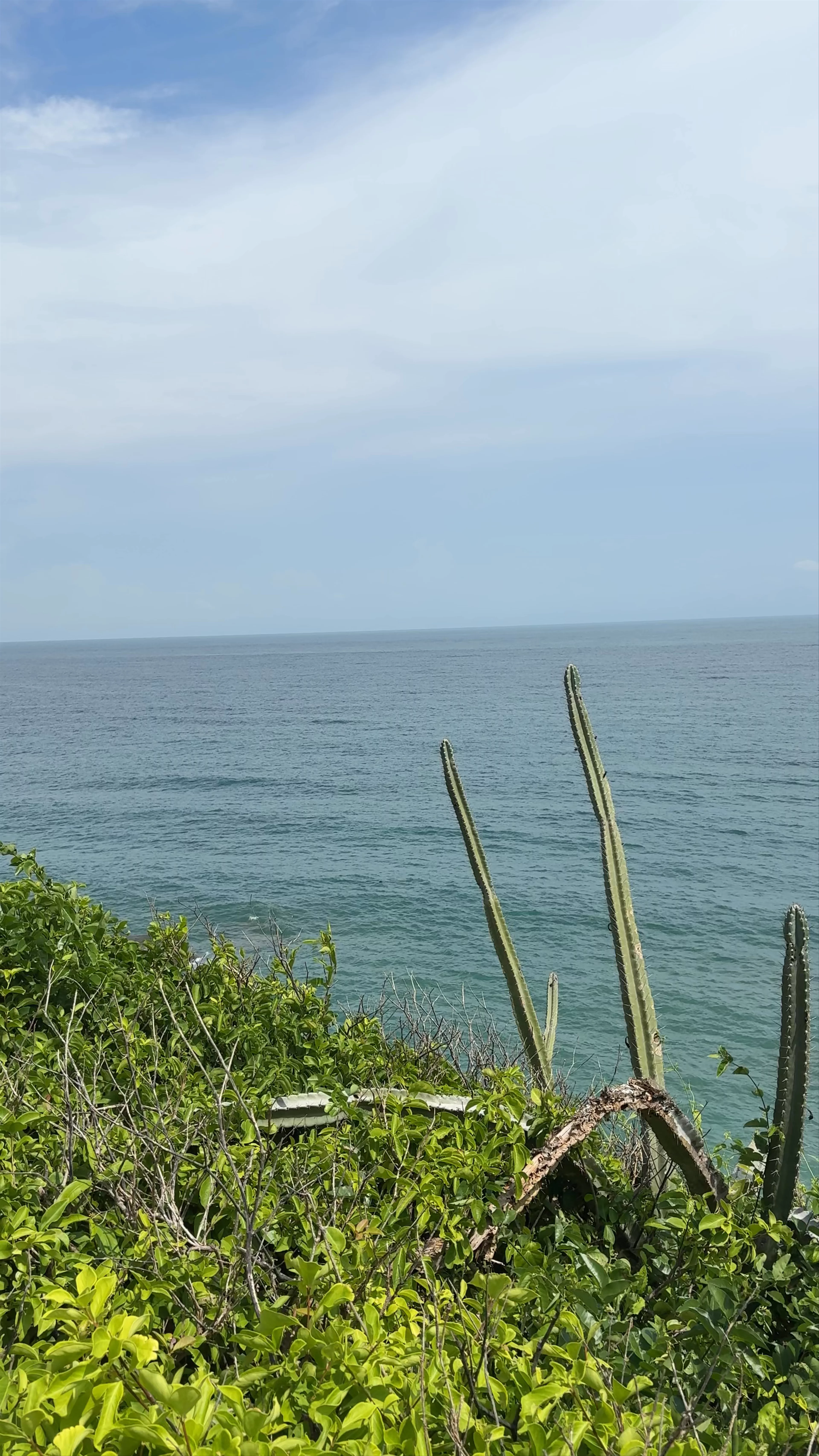 Taquilla El Zaino, Parque Nacional Natural Tayrona
