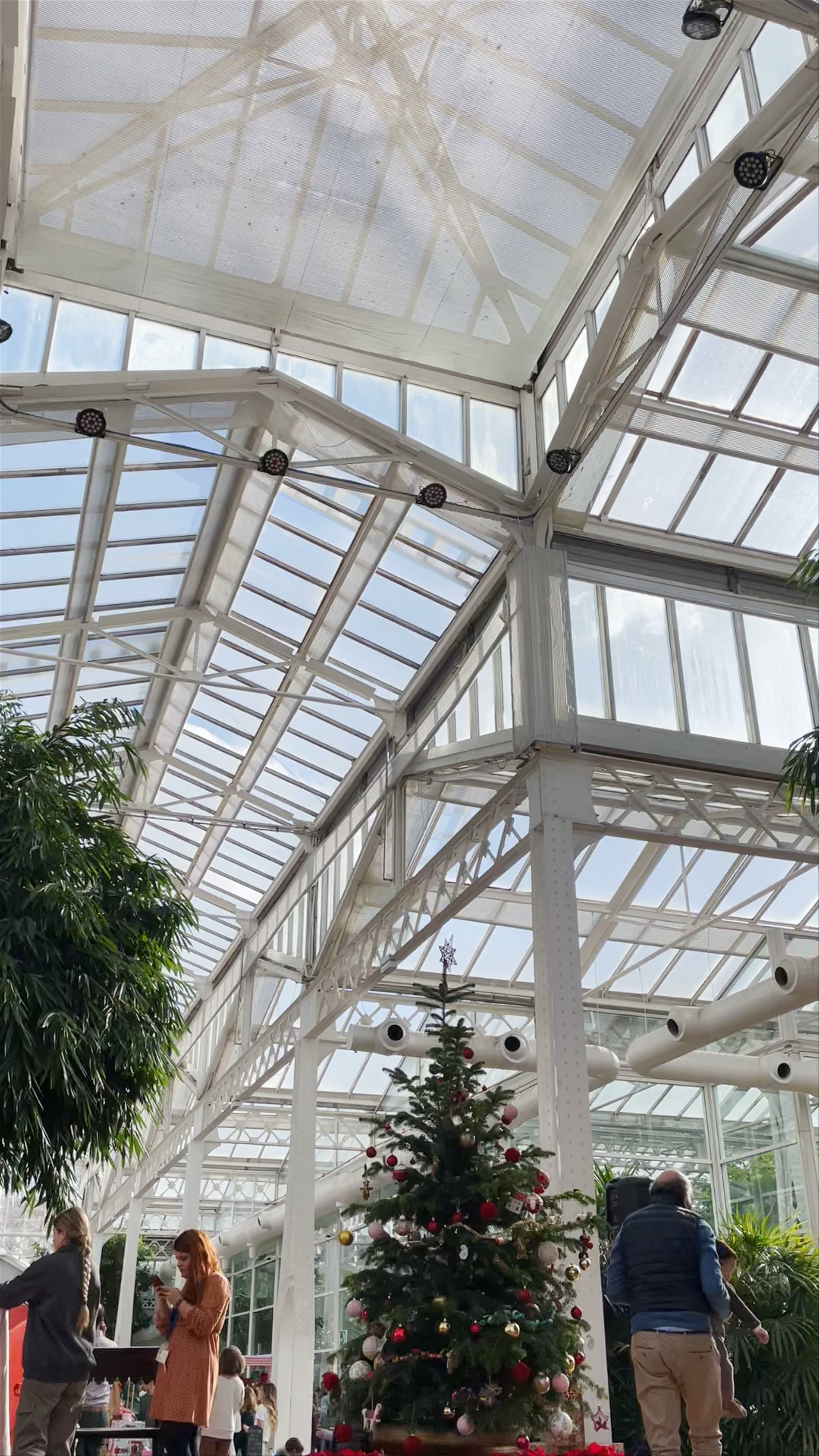 Winter Charm at Invernadero del Palacio de Cristal de Arganzuela, Madrid