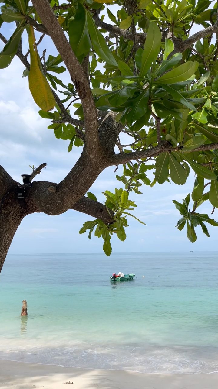 dream escape
📍 Phuket Thailand
🎥 Peggy Anke · Pexels
#travel #beach #island #paradise #wanderlust
