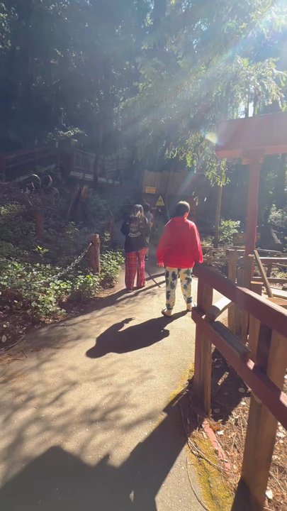 Confusion Hill - Lots of little gravity spots. - Amusement Parks Near Me - Piercy, California