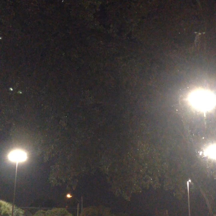 H-E-B - This H-E-B scares me - Grocery Near Me - Austin, Texas