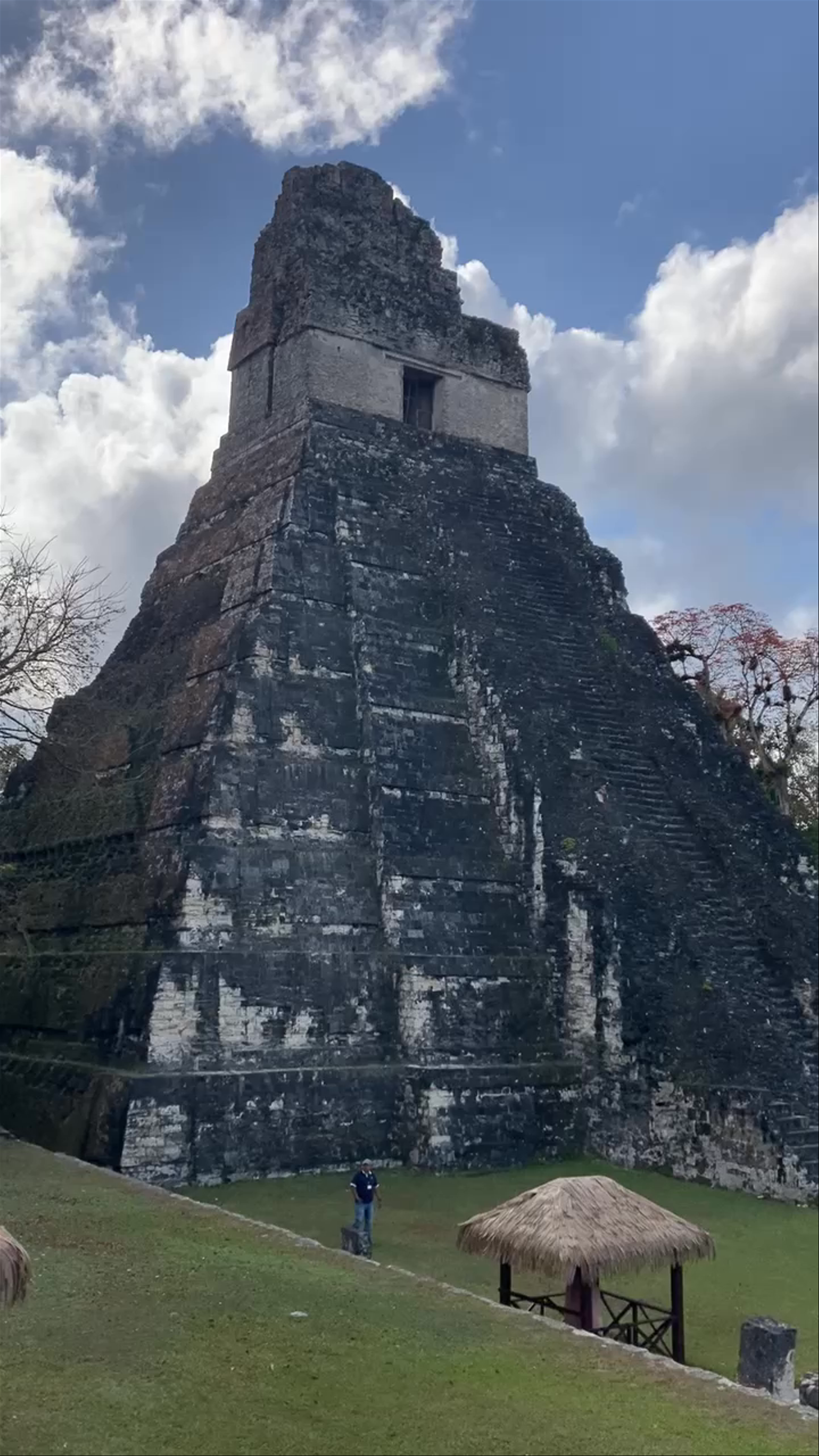 Exploring the Majestic North Acropolis of Tikal, Guatemala