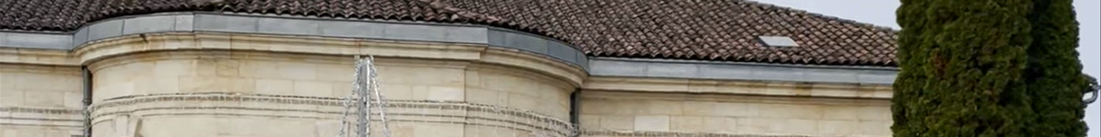 Tours & experiences in Saint-Émilion