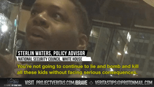 Video Thumbnail Loop