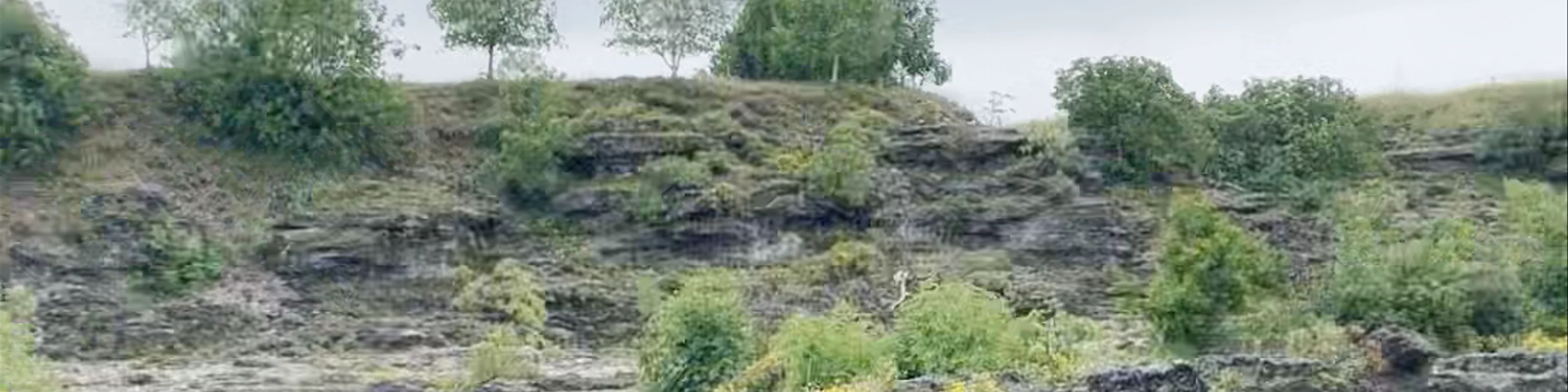 Vodopad Nijagara