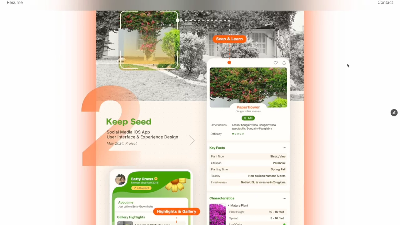 vysigns.com