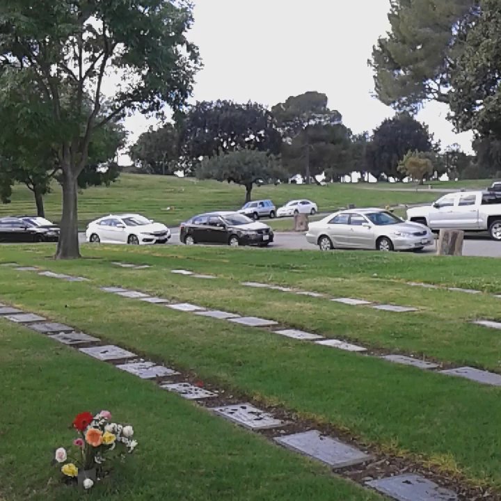 Resurrection Catholic Cemetery And Mausoleum Updated May 2026 169 