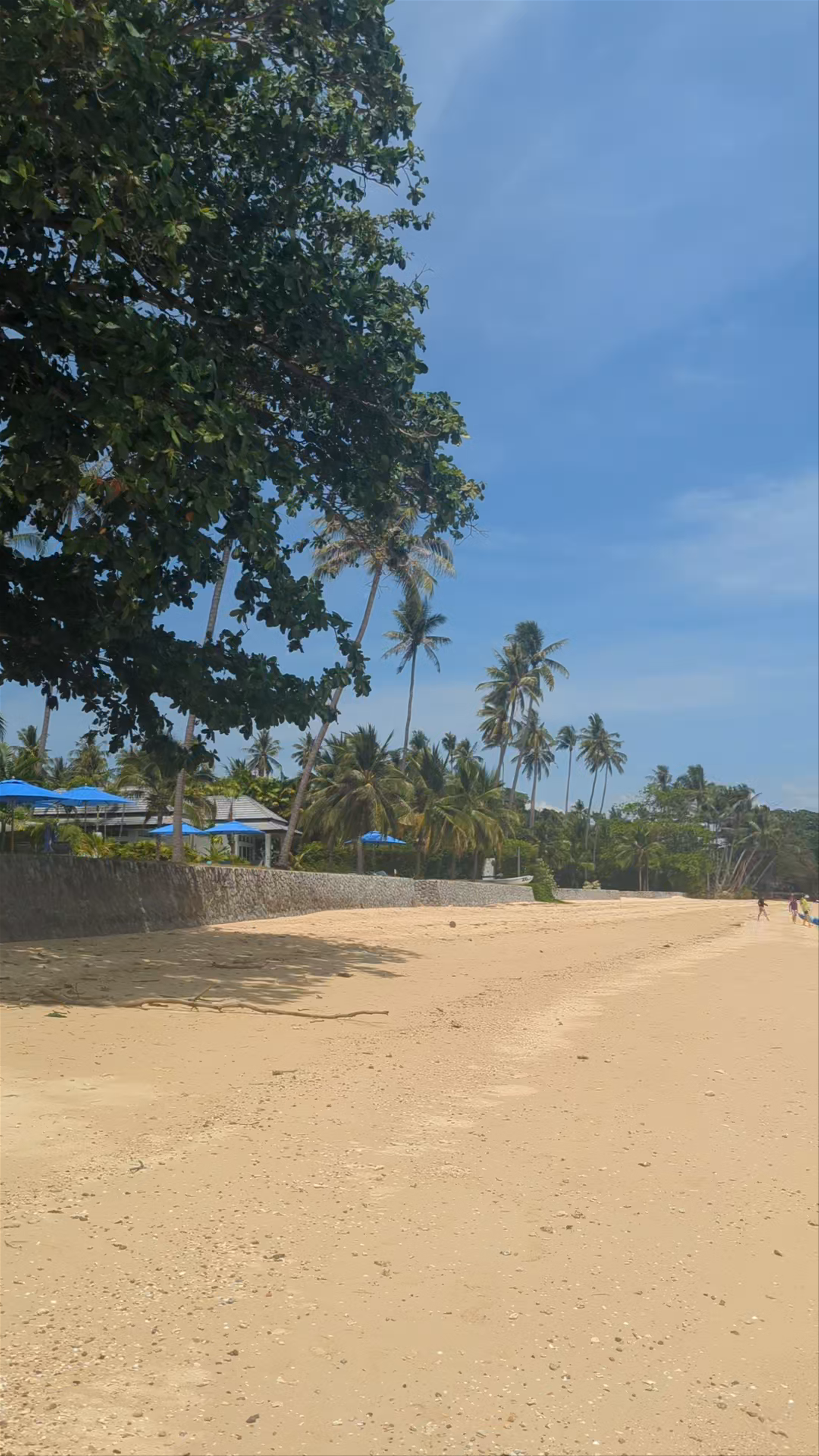 Klong Jark Beach: Tropical Serenity on Ko Yao Noi Island