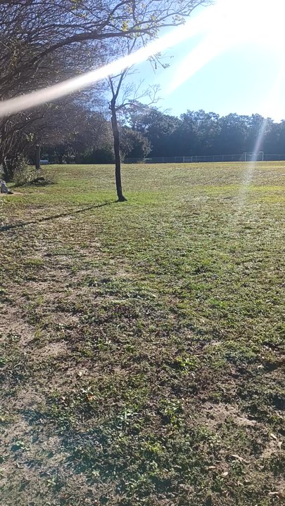Optimist Dog Park - Dog Parks Near Me - Milton, Florida