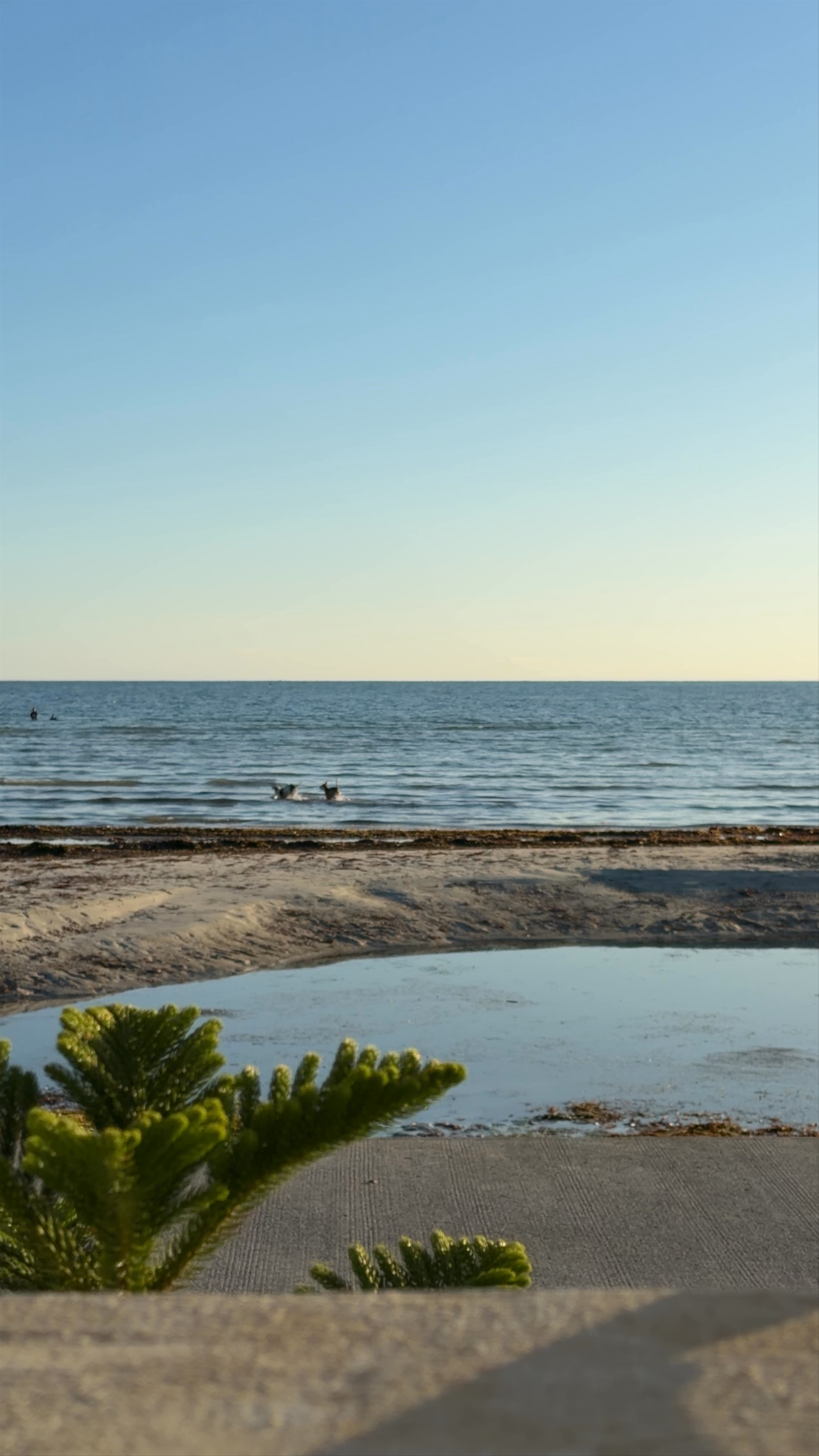 Tranquil Escape at Tondol White Sand Beach View Deck in Anda, Pangasinan